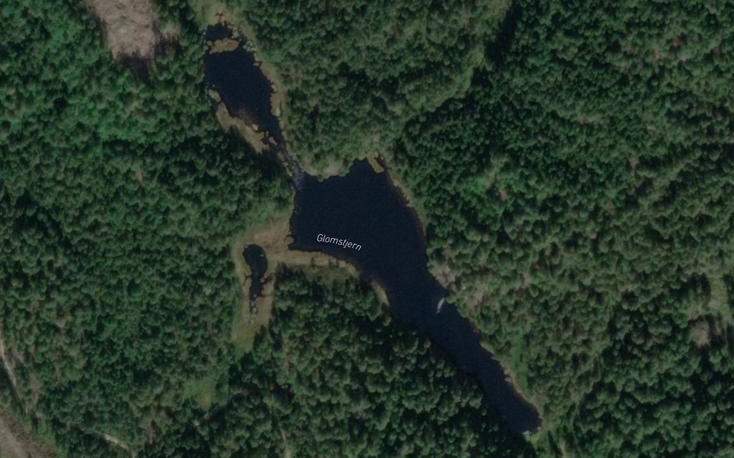 Glomstjern
