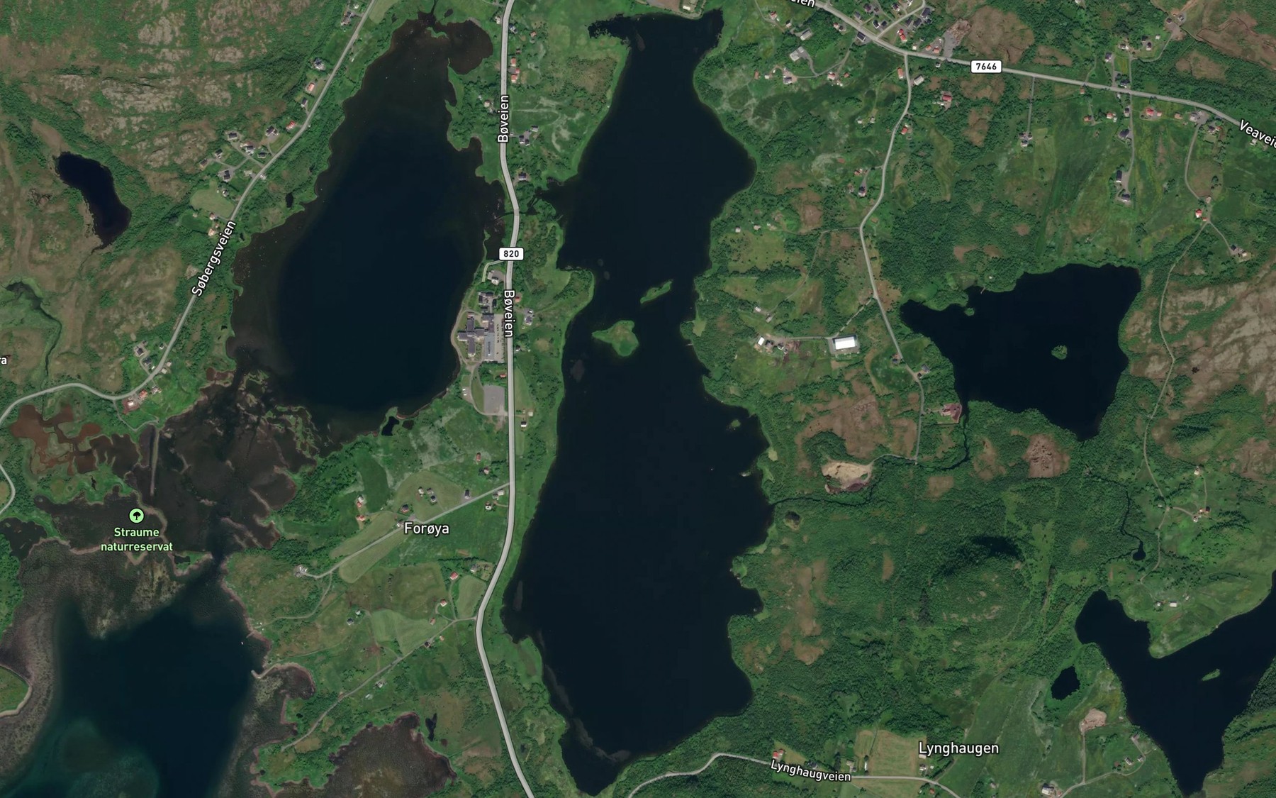 Satellite map of the Saltvatnet