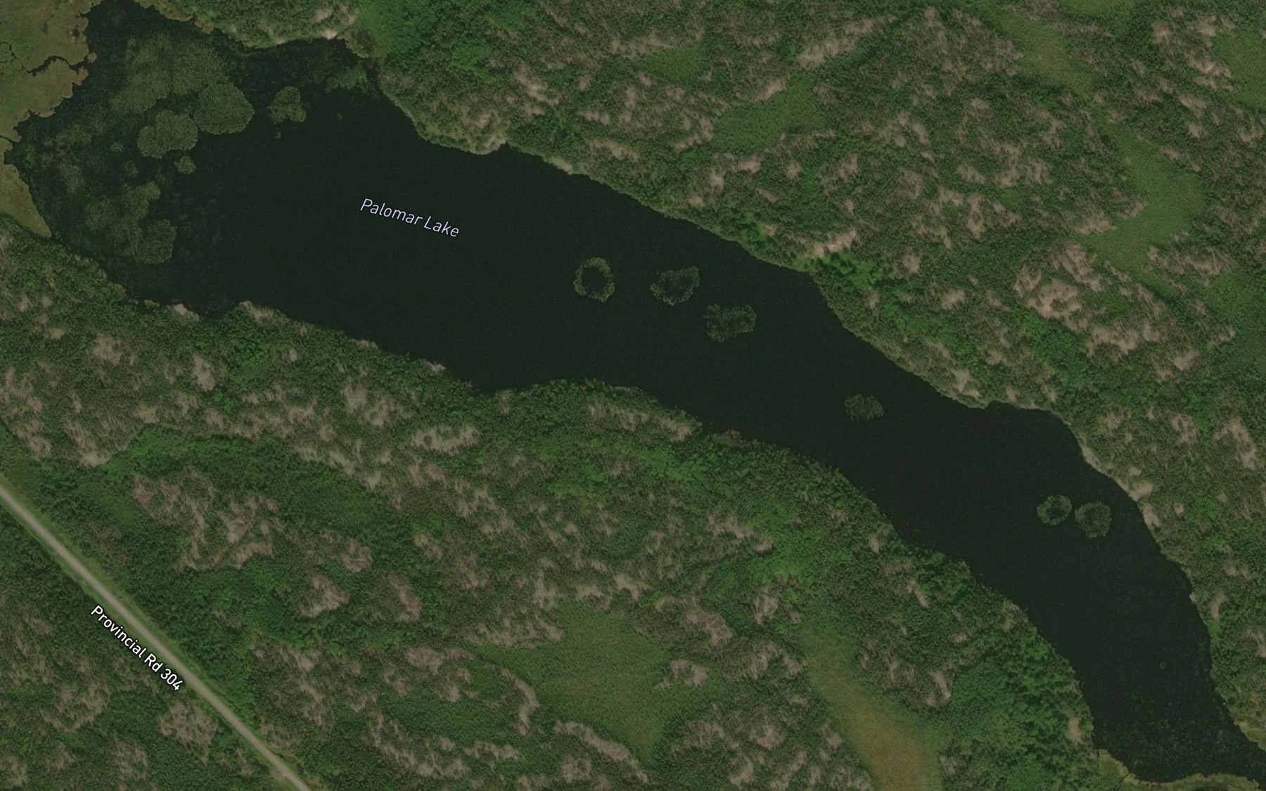 Satellite map of the Palomar Lake