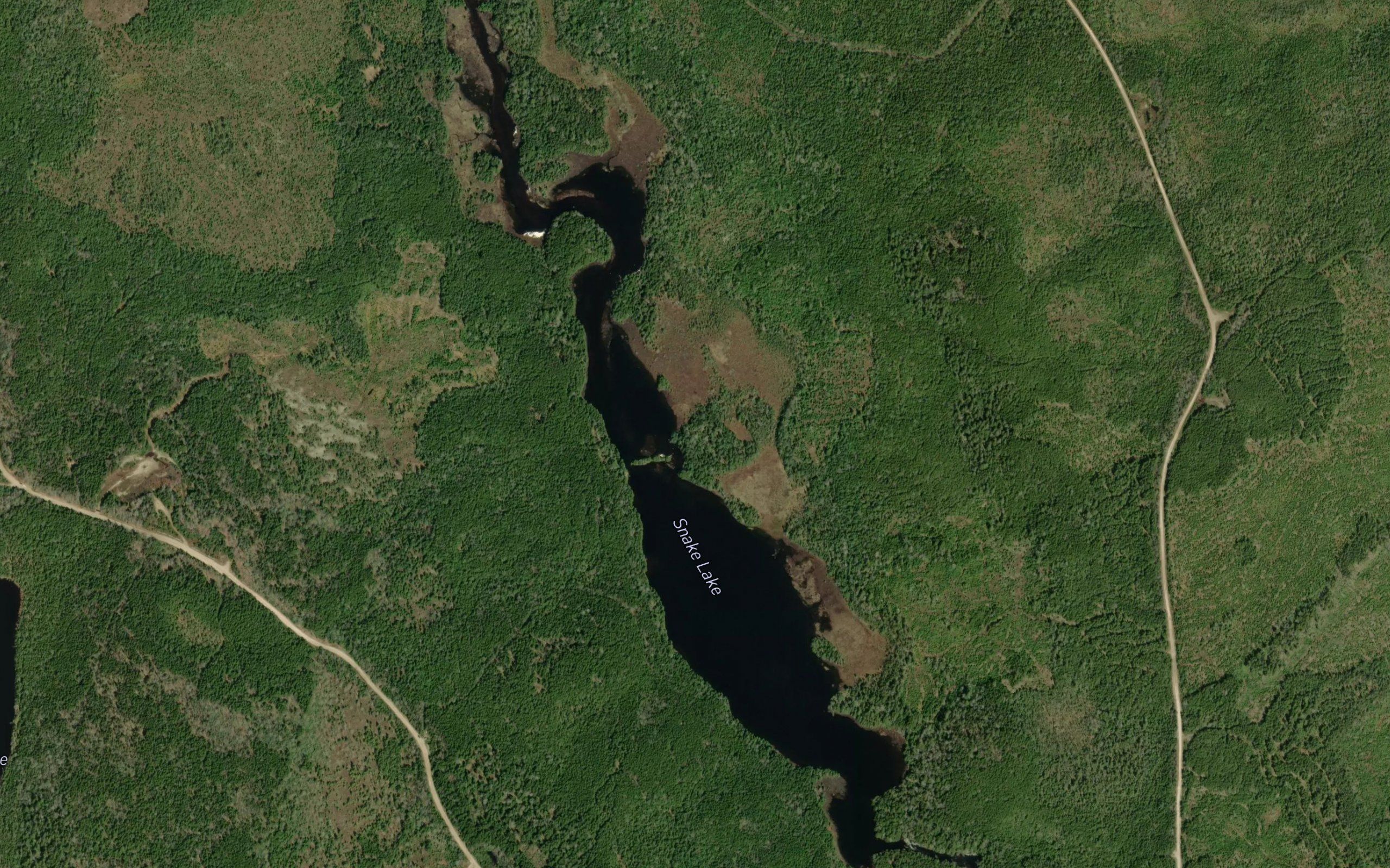 Snake Lake