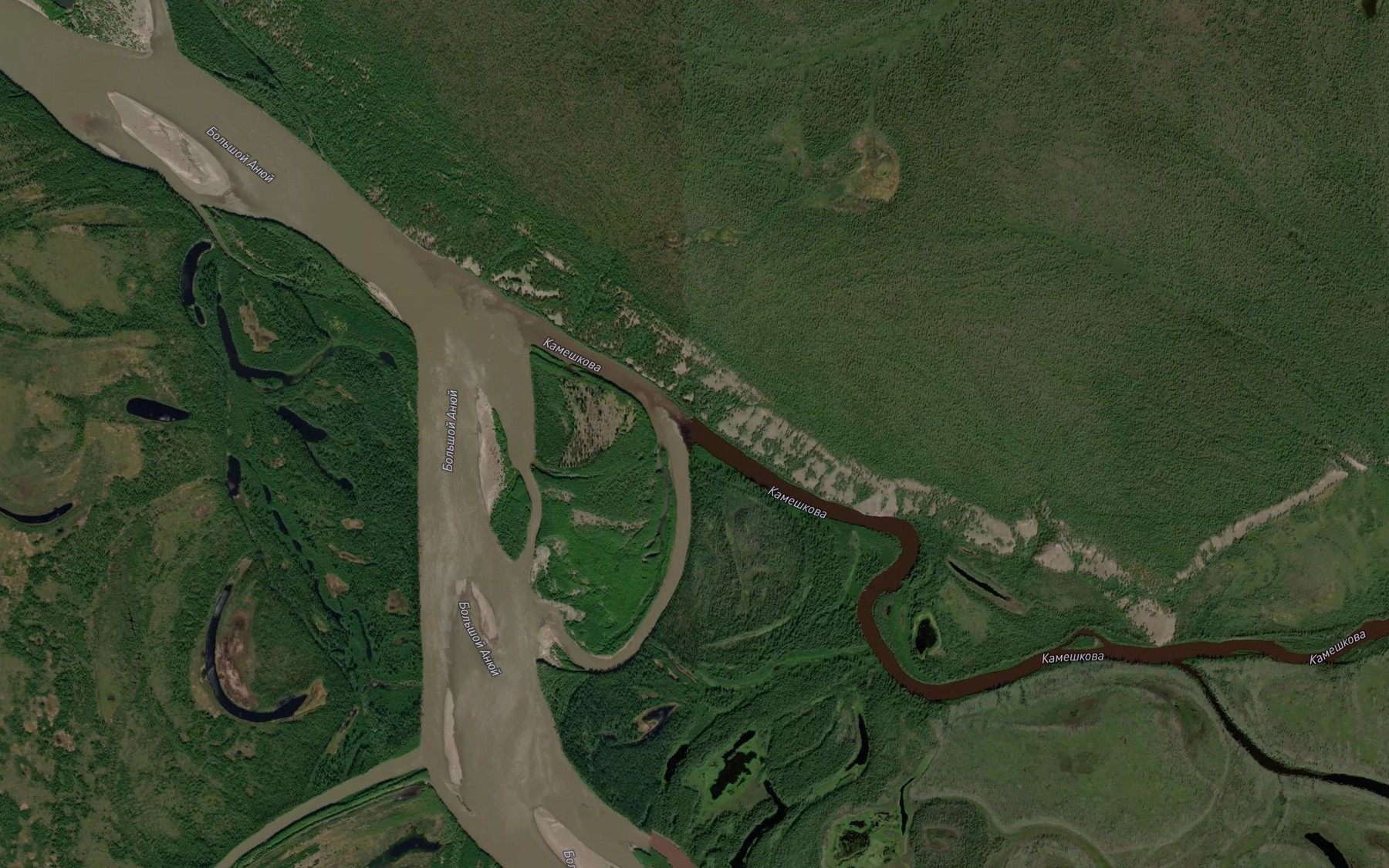 Satellite map of the Kameshkova