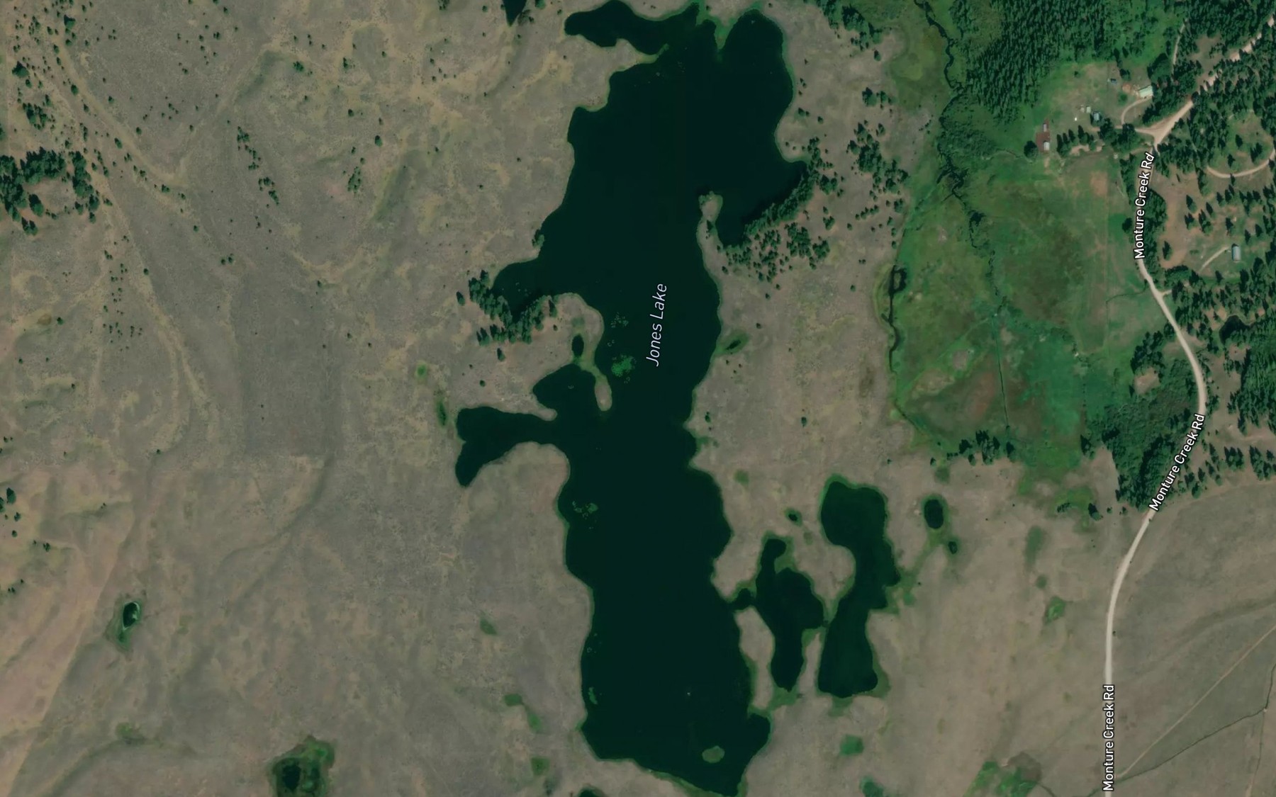 Satellite map of the Jones Lake