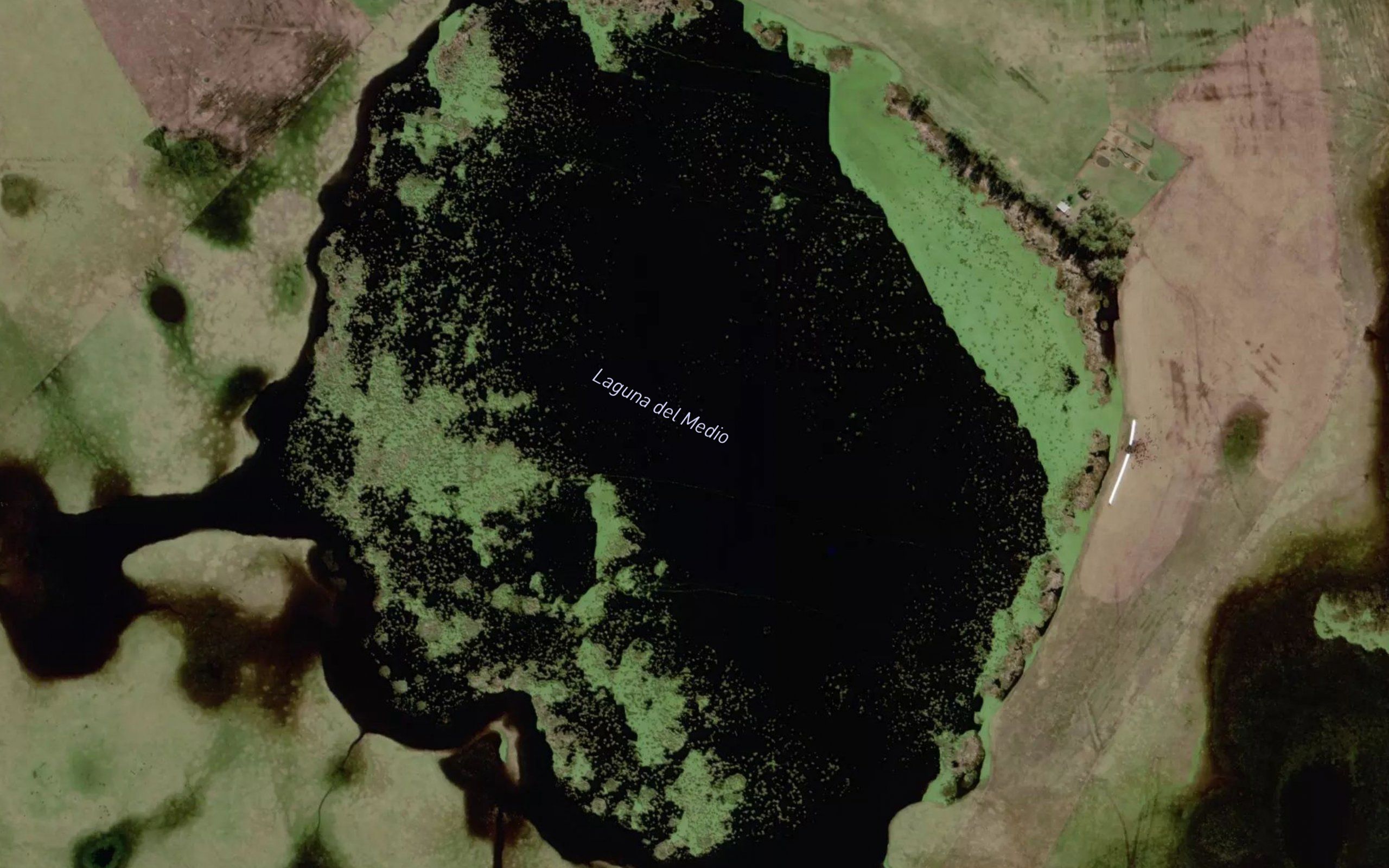 Laguna del Medio