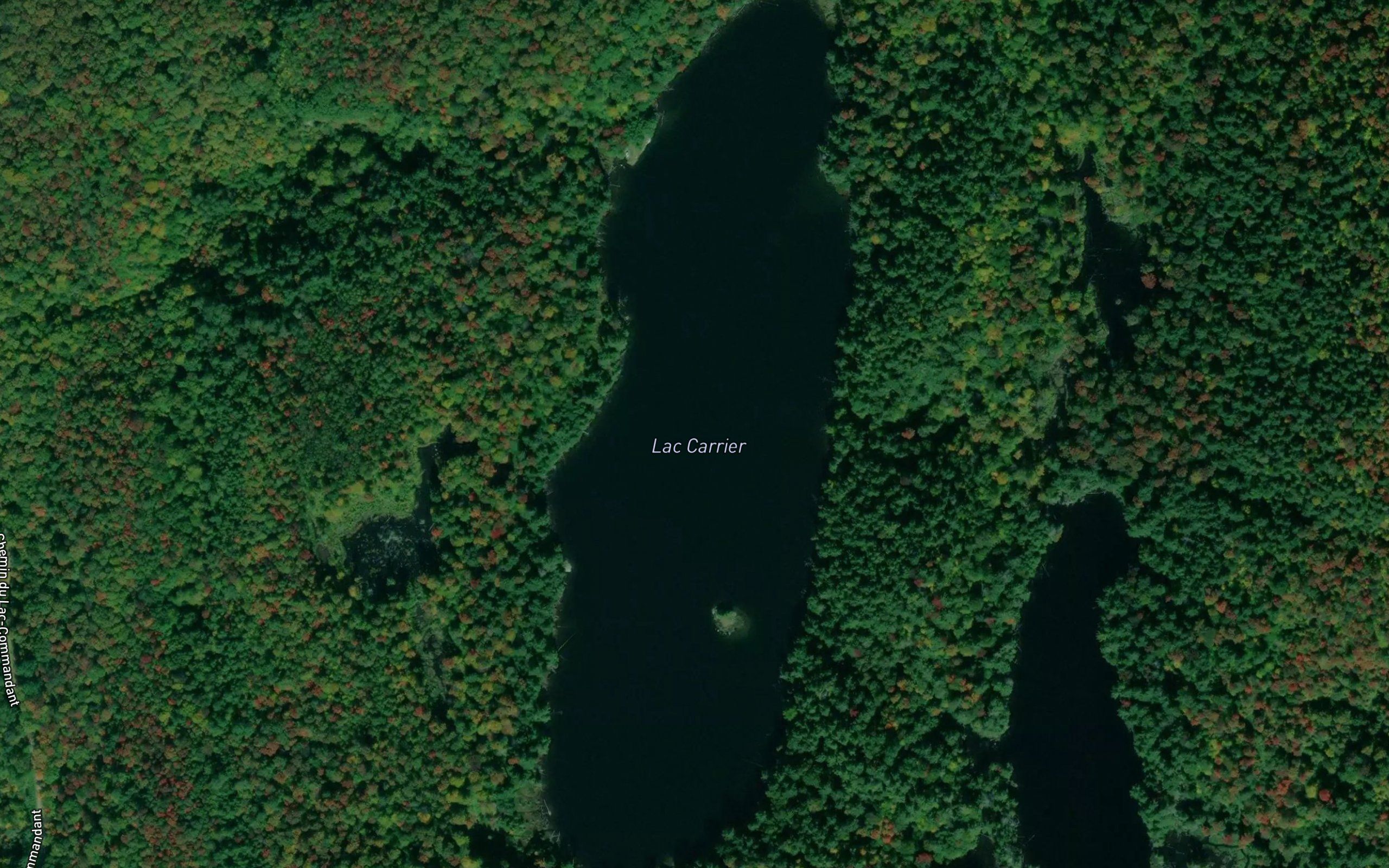 Lac Carrier