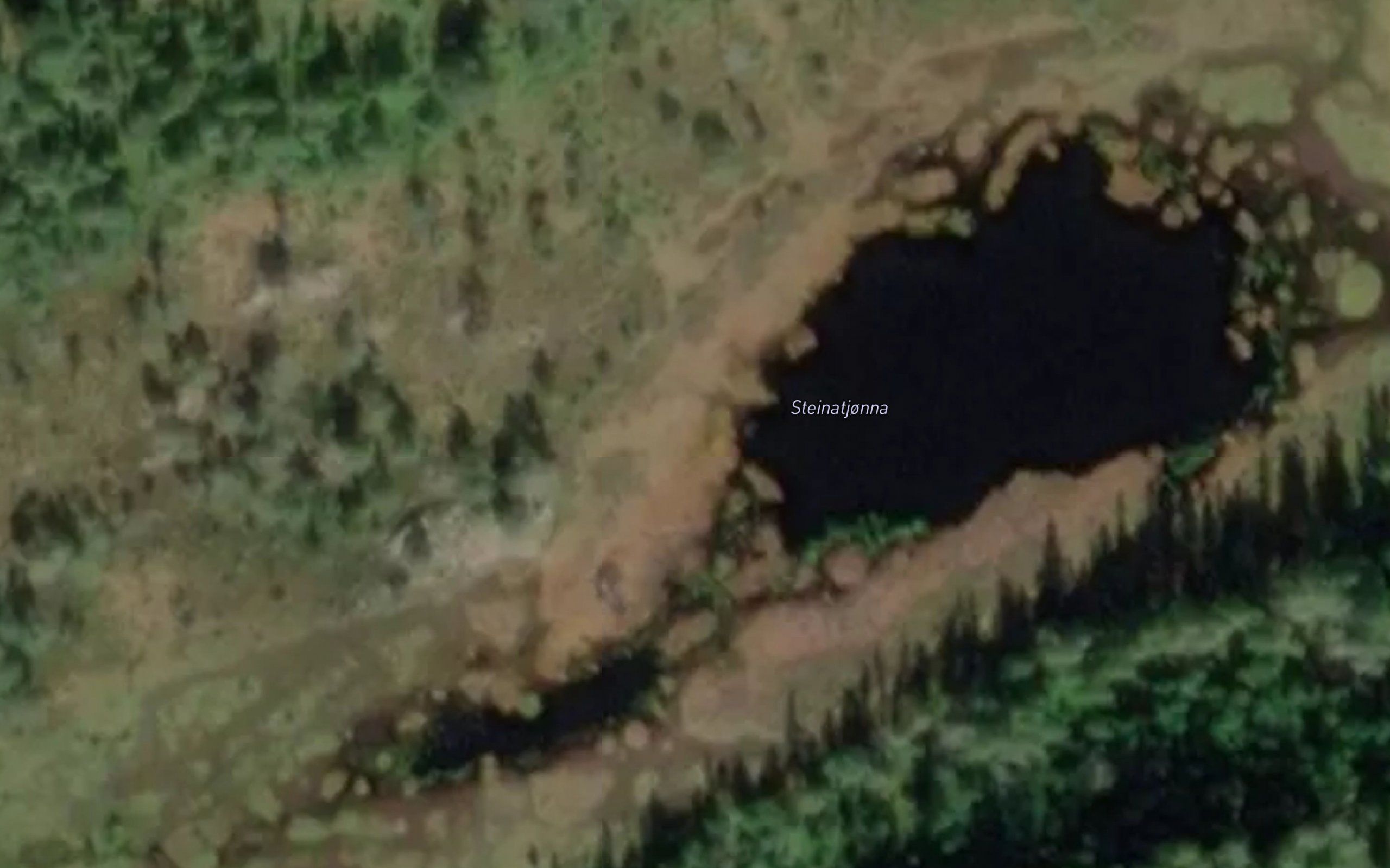 Steinatjorna