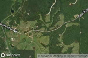 Pewter Creek