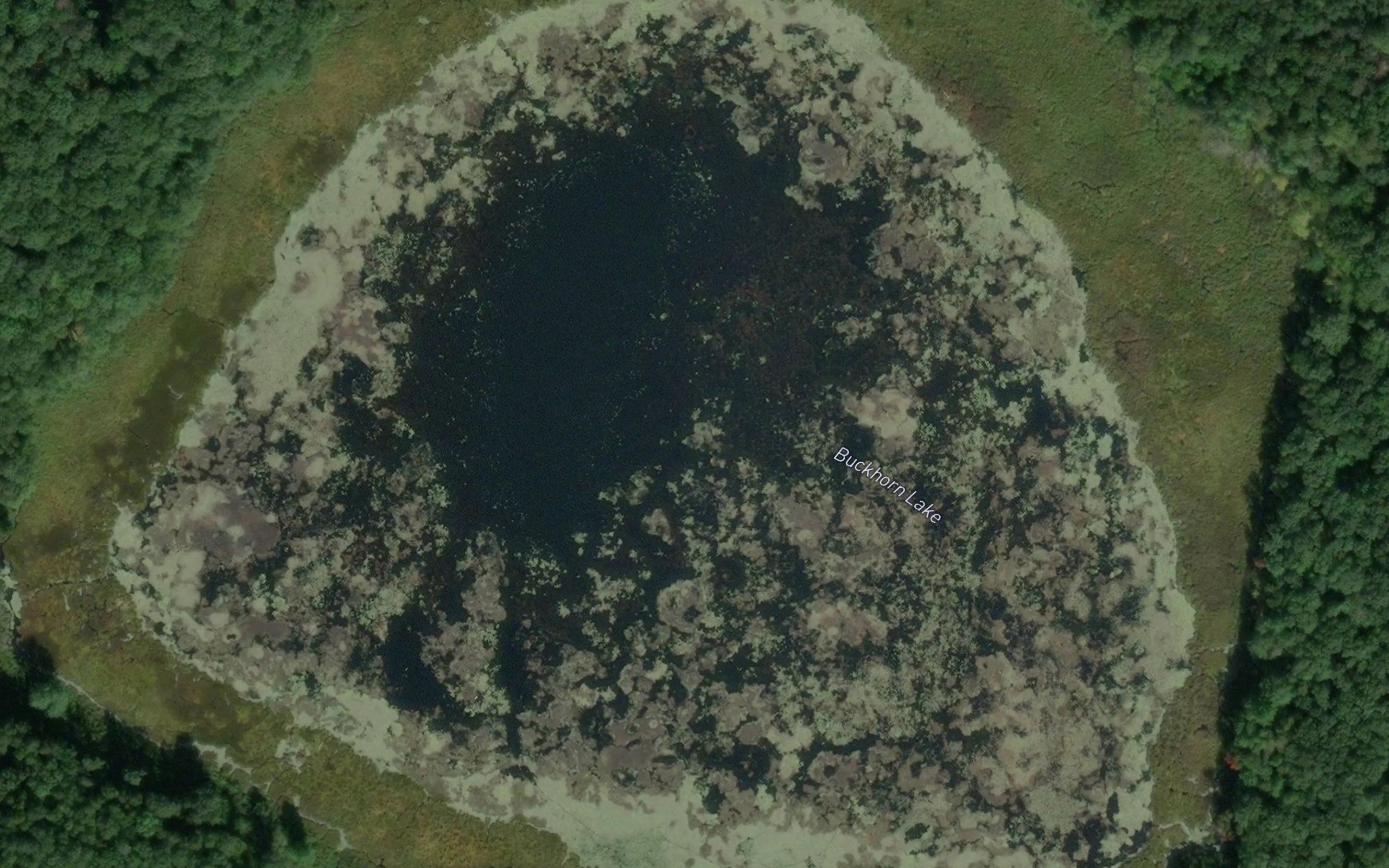 Buckhorn Lake