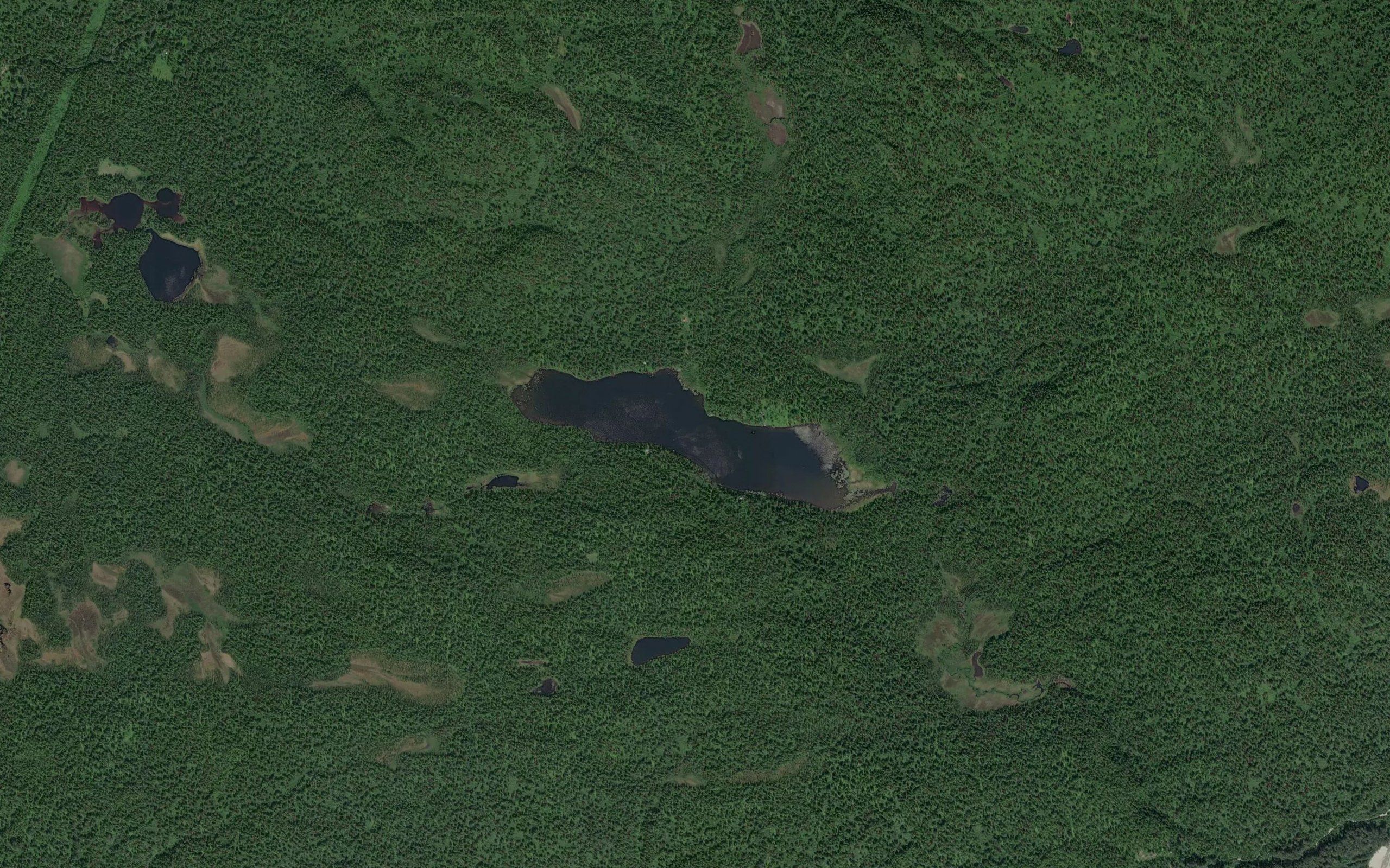 Katie Lake