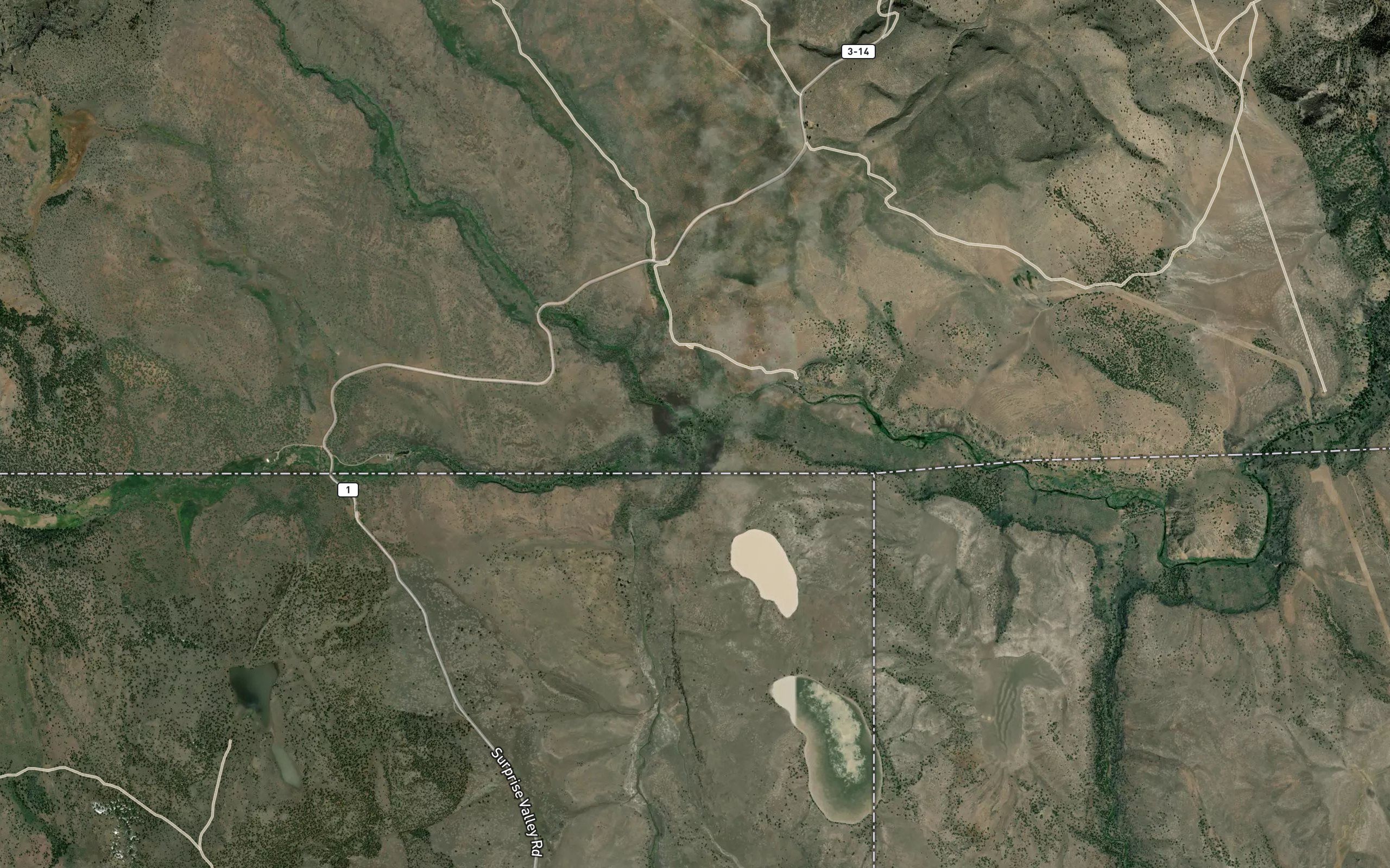 Cow Head Slough