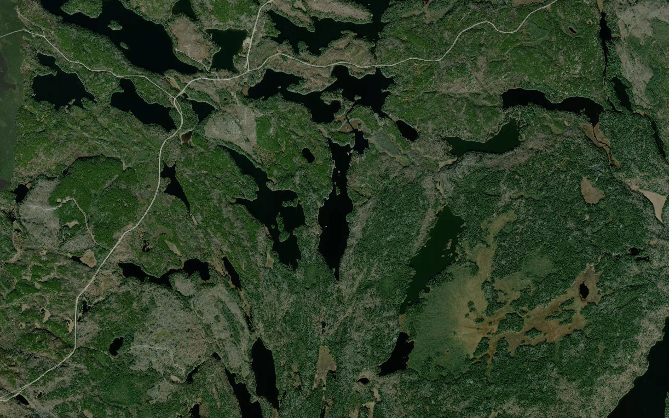Whale Lake