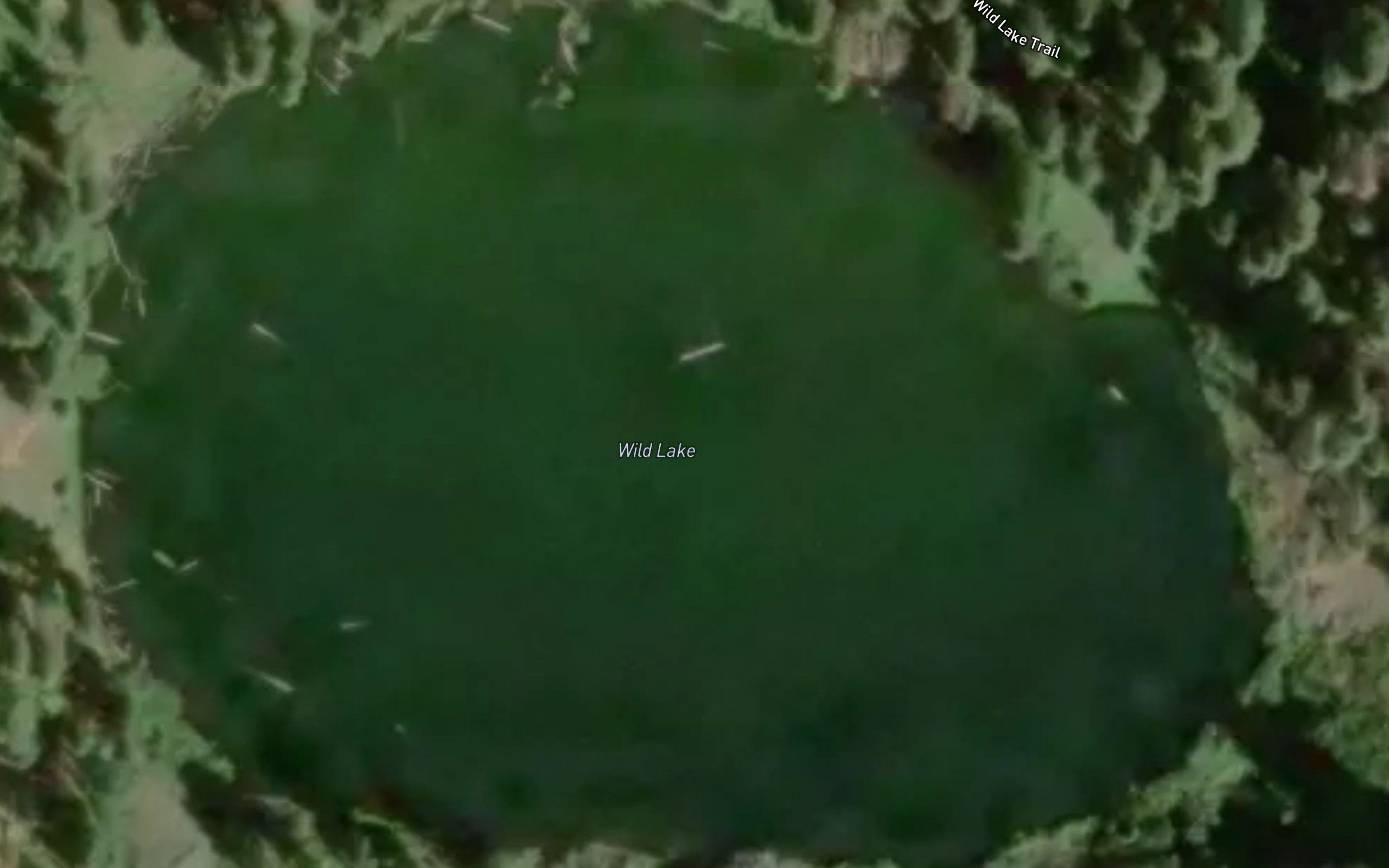 Wild Lake