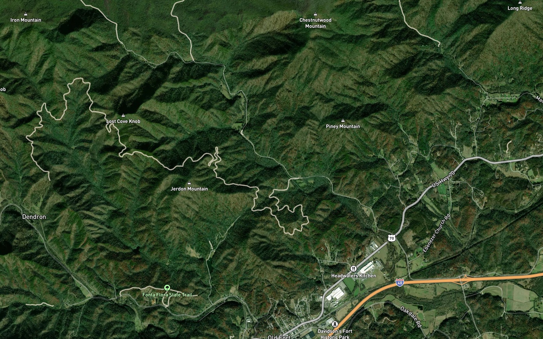 Satellite map of the Paddys Branch
