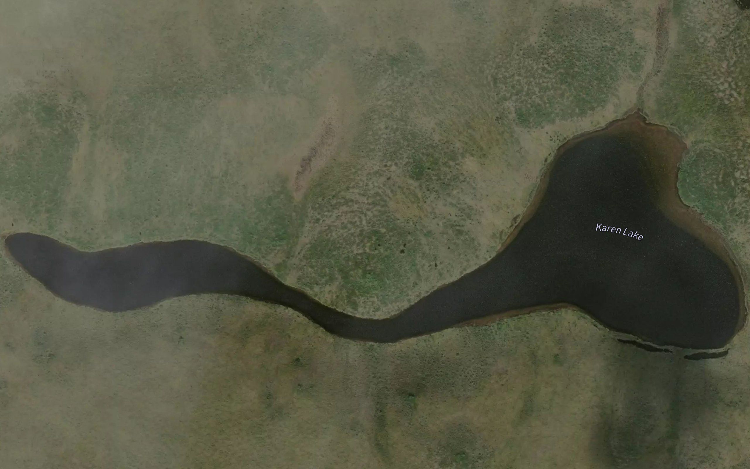 Karen Lake