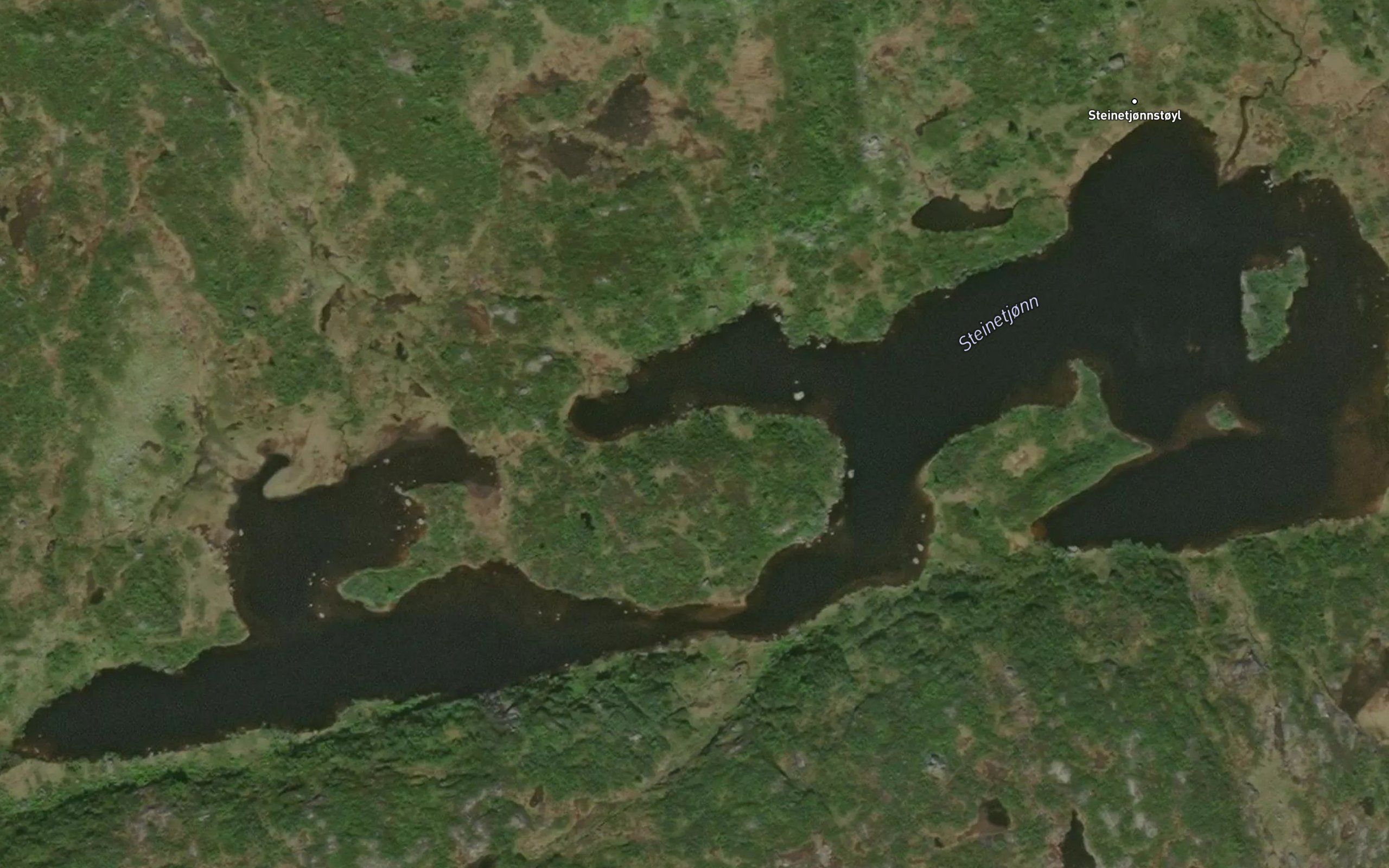 Steinetjorn