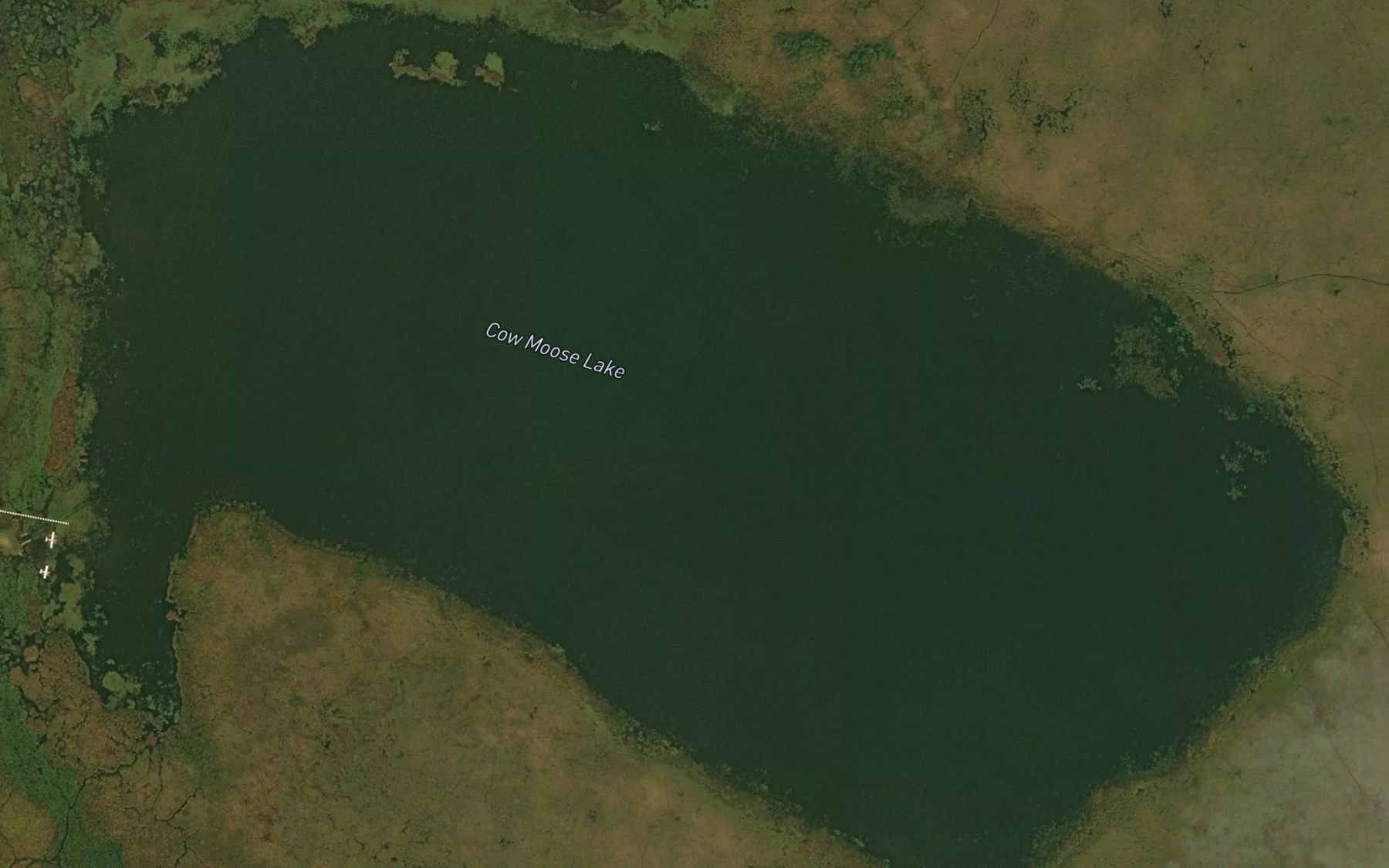 Satellite map of the Cow Moose Lake
