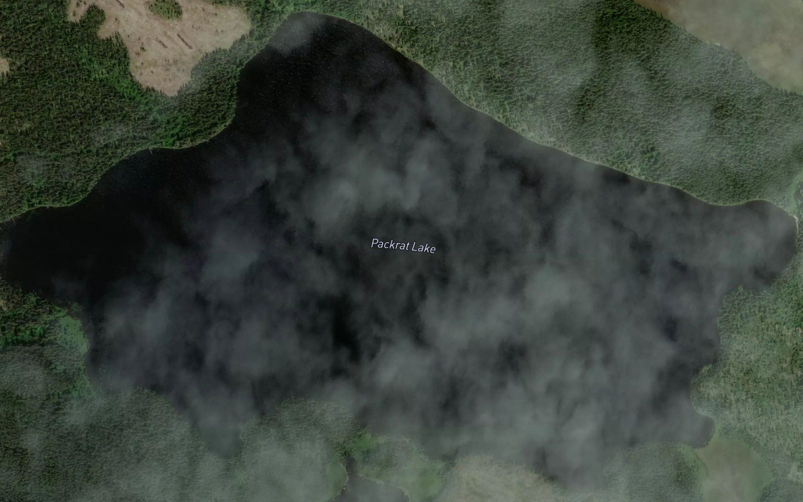 Packrat Lake