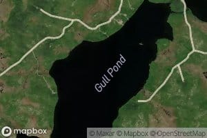 Gull Pond
