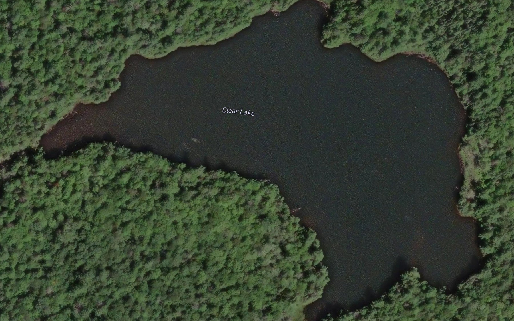 Satellite map of the Clear Lake