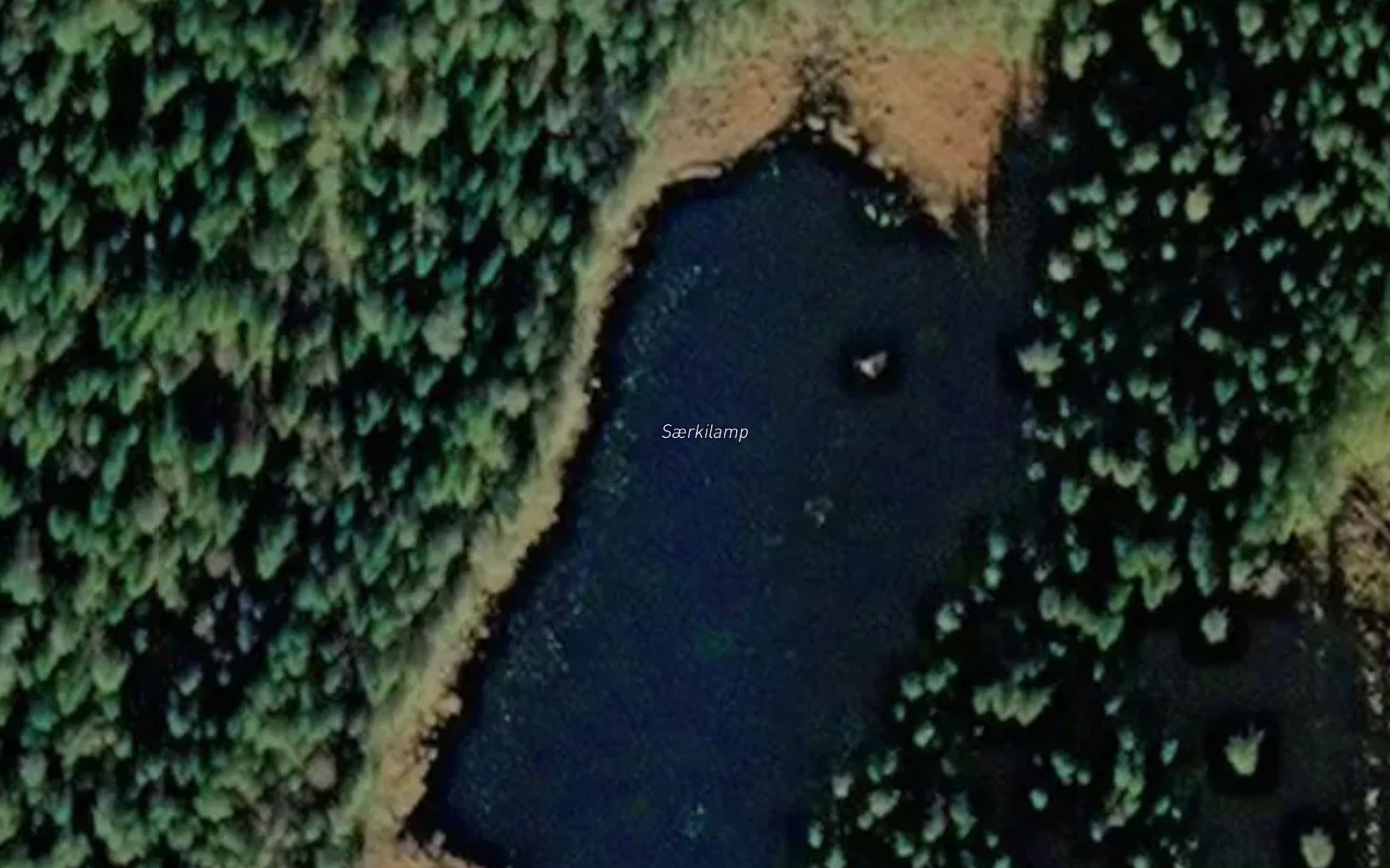 Saerkilamp
