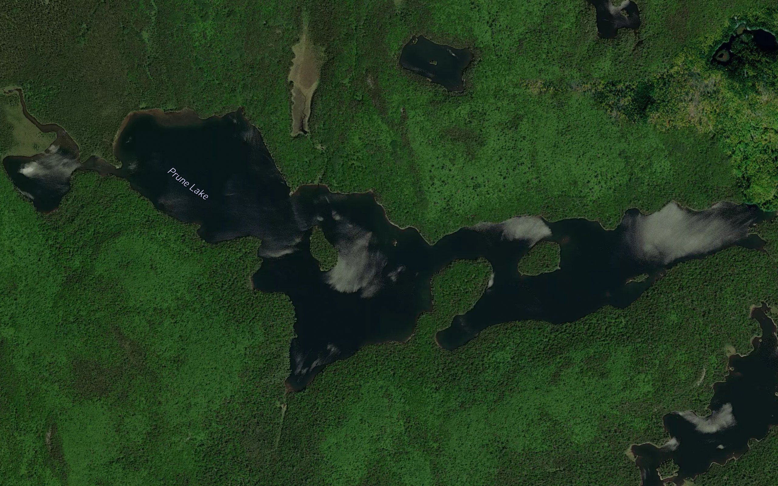 Prune Lake
