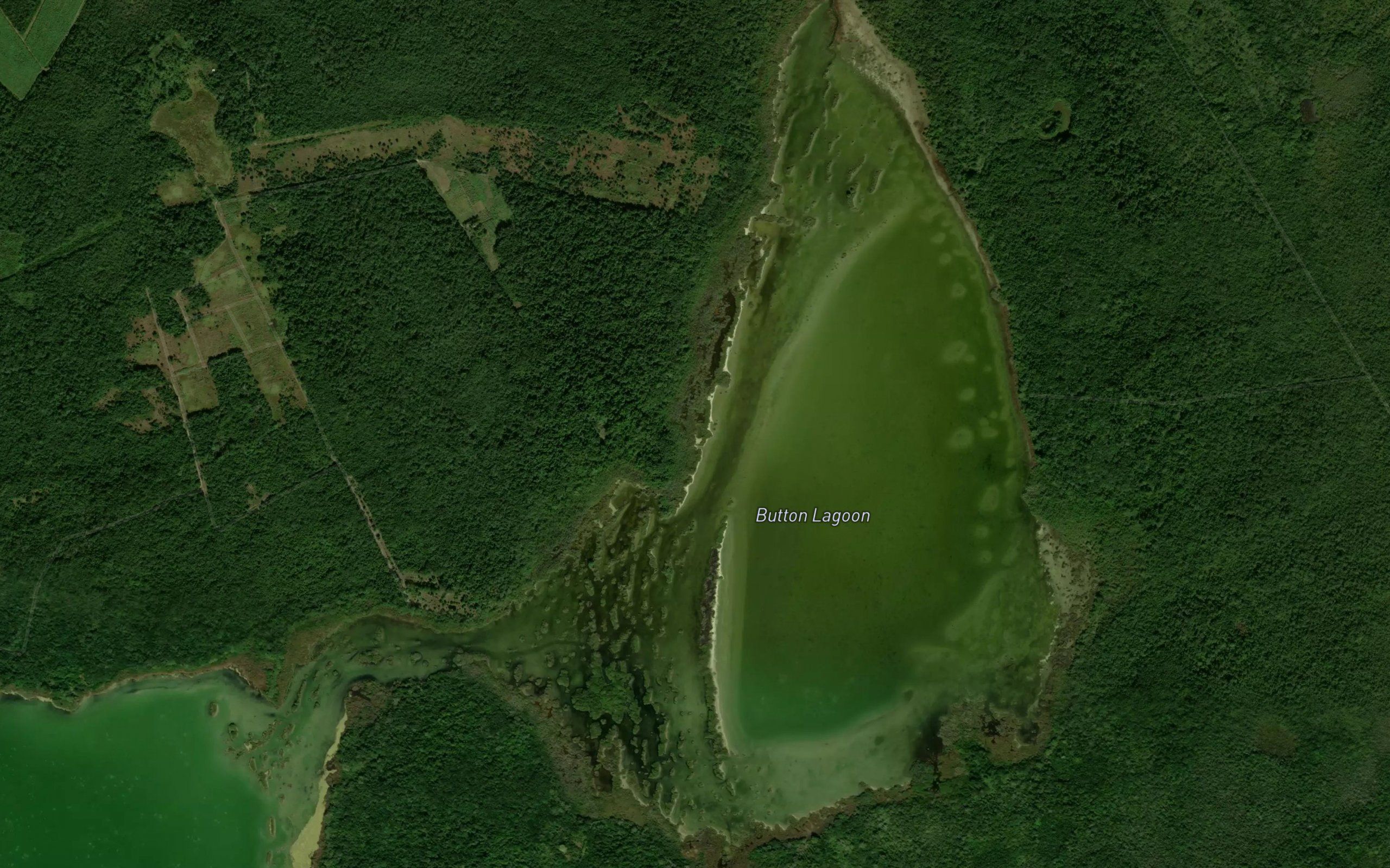 Button Lagoon