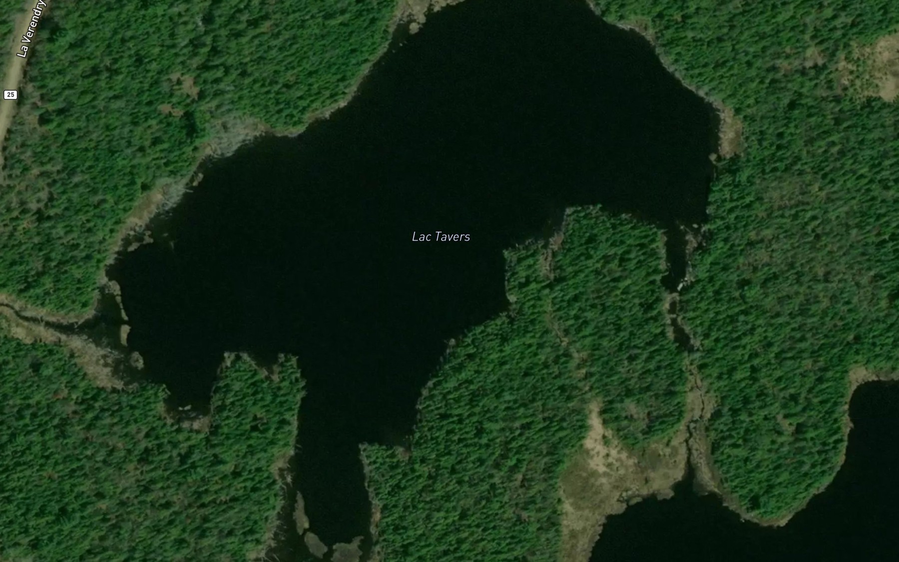 Satellite map of the Lac Tavers
