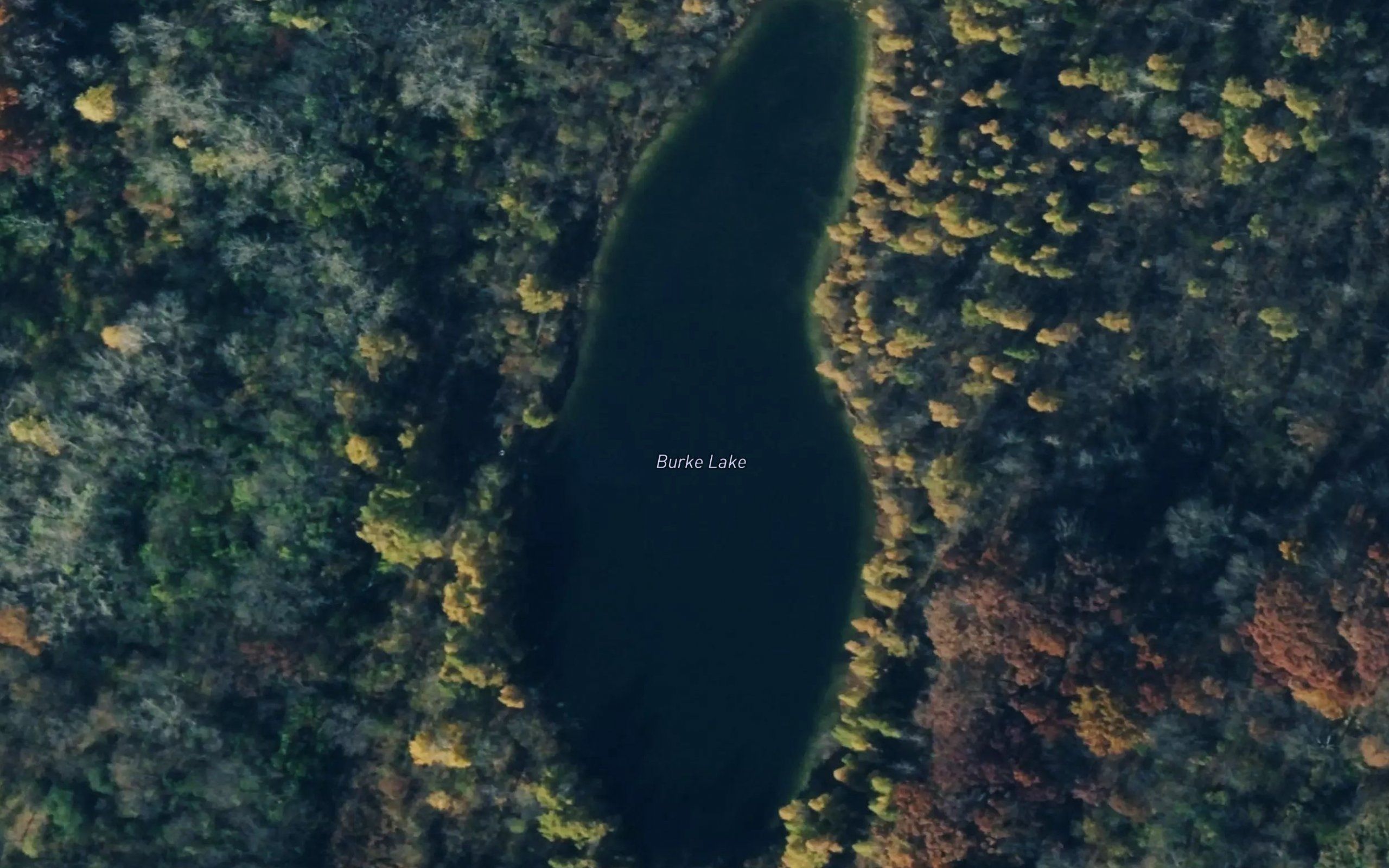 Burke Lake