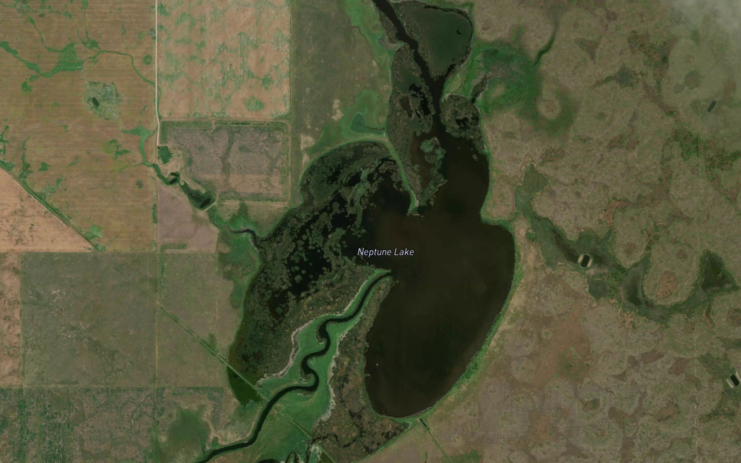 Neptune Lake