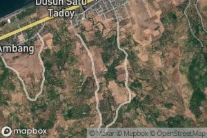 Tapa Pinotangaantadoykaloligi