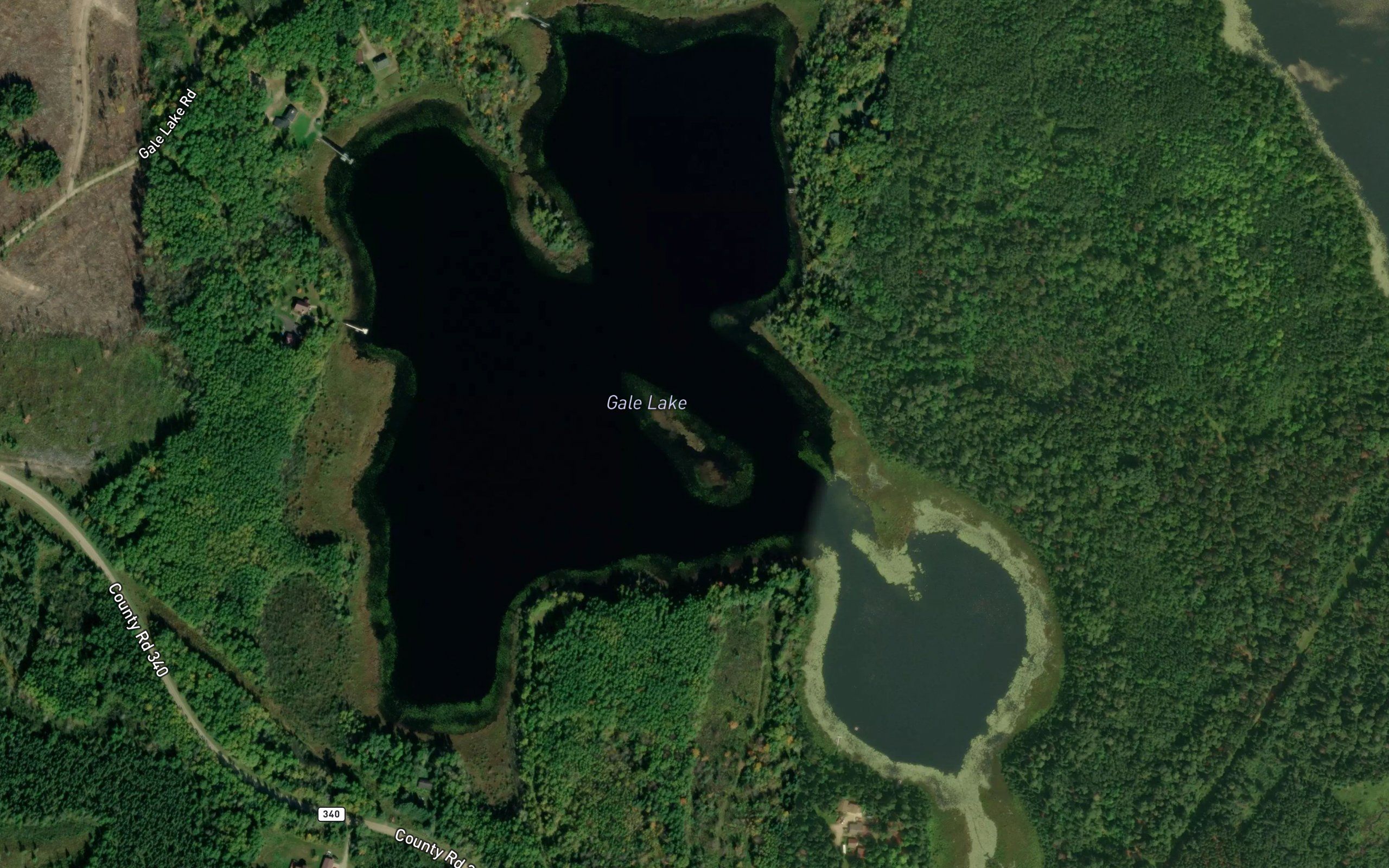 Gale Lake