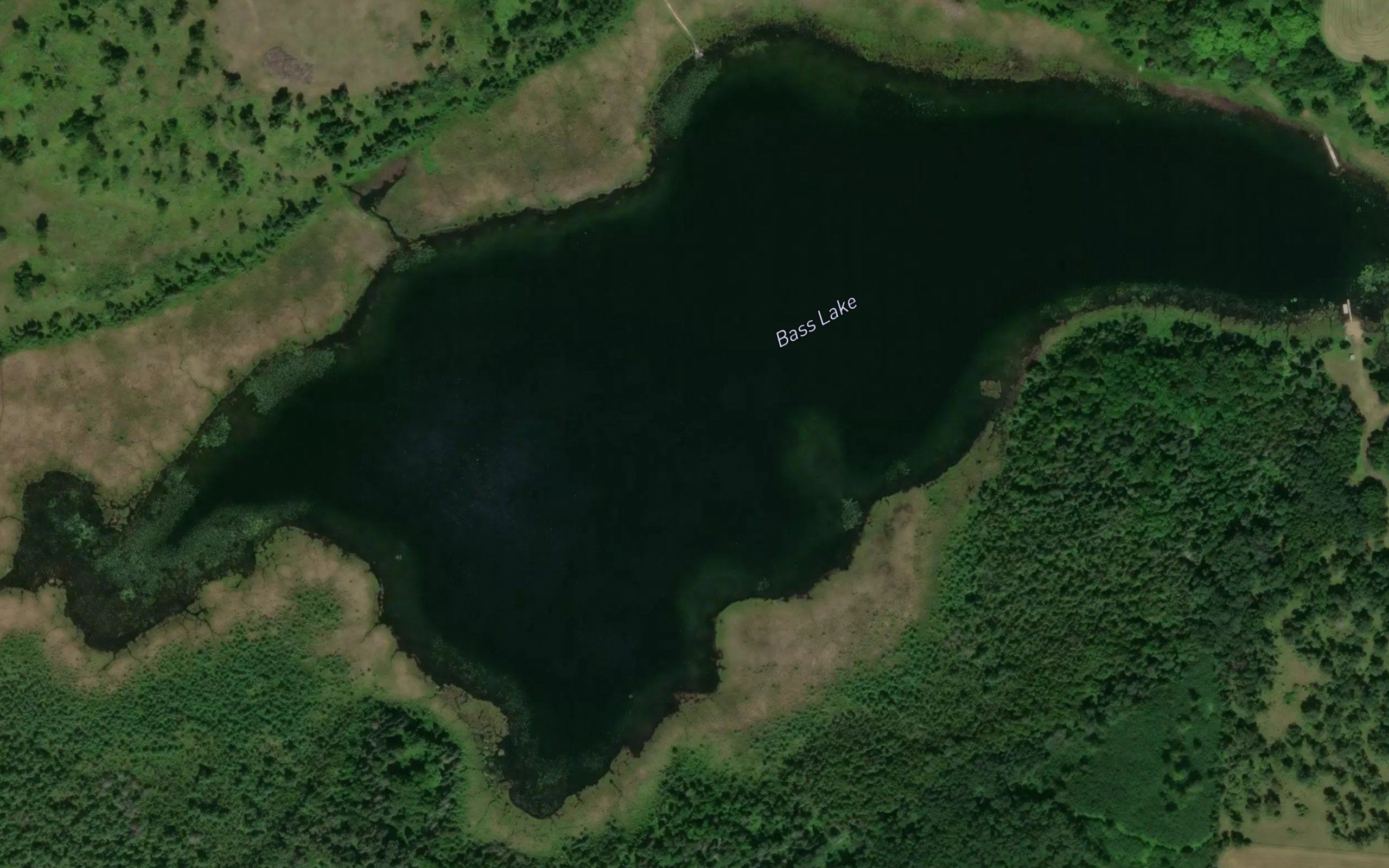 Bass Lake