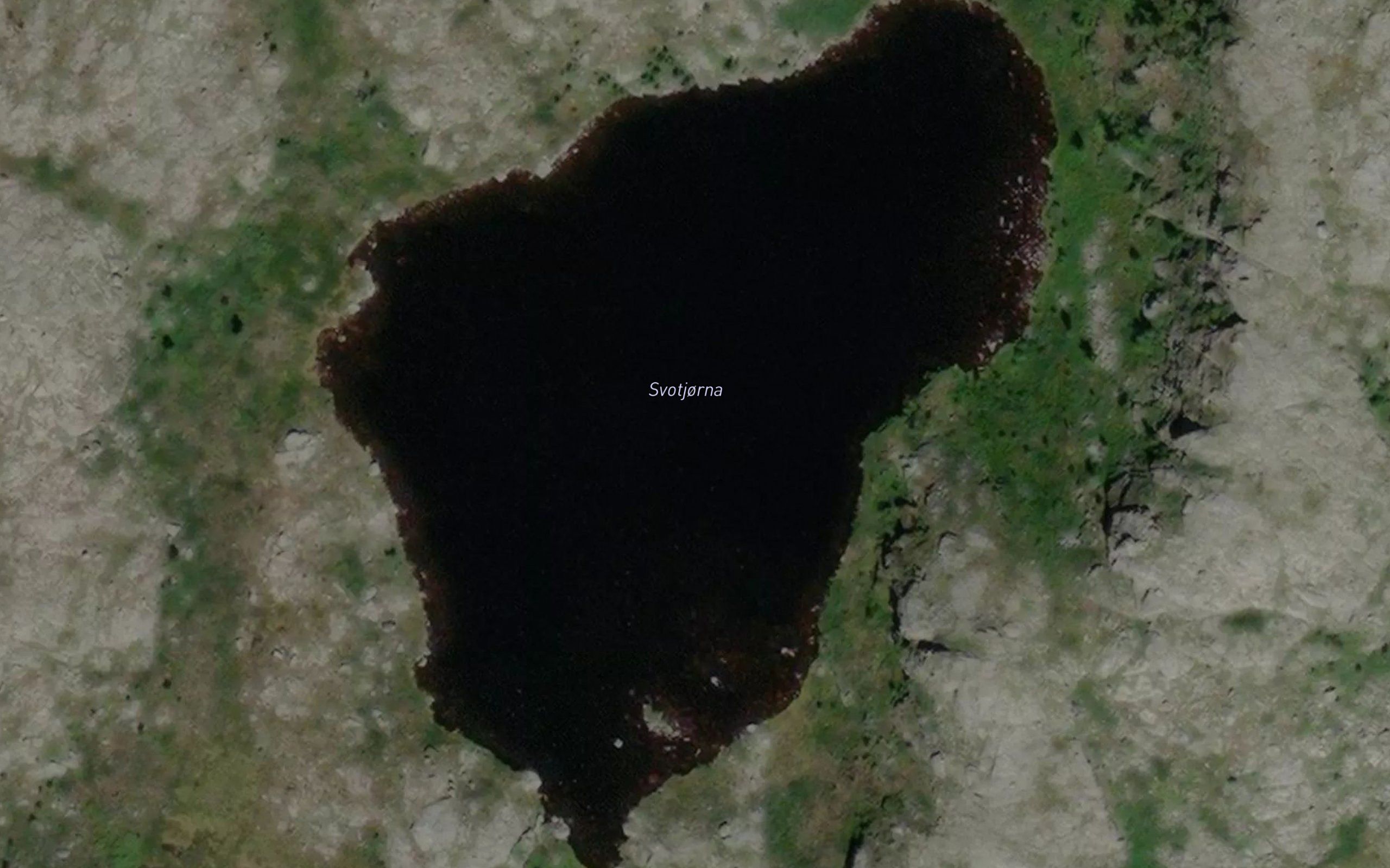 Svodtjorna