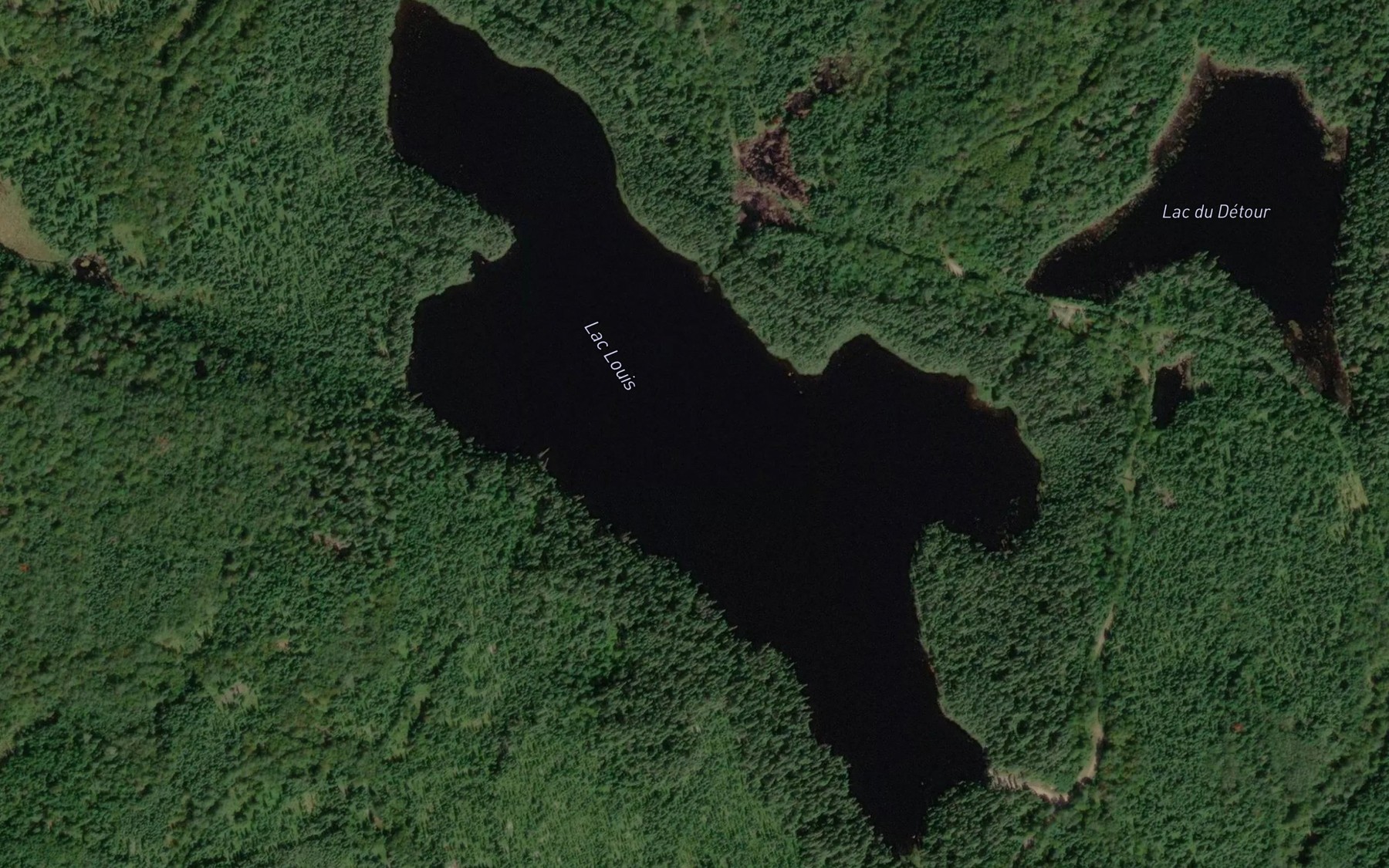 Satellite map of the Lac Louis