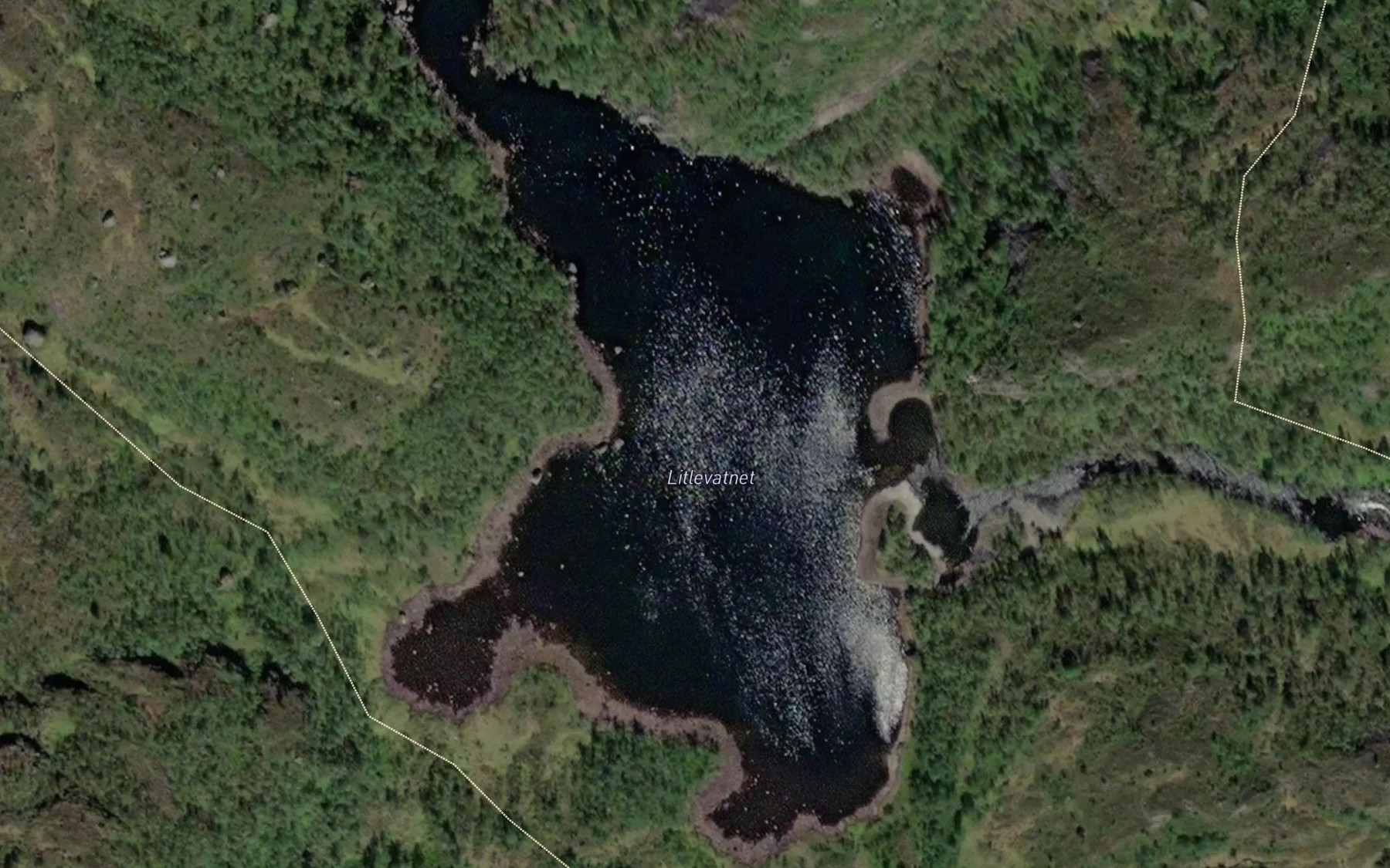 Satellite map of the Veslevatnet