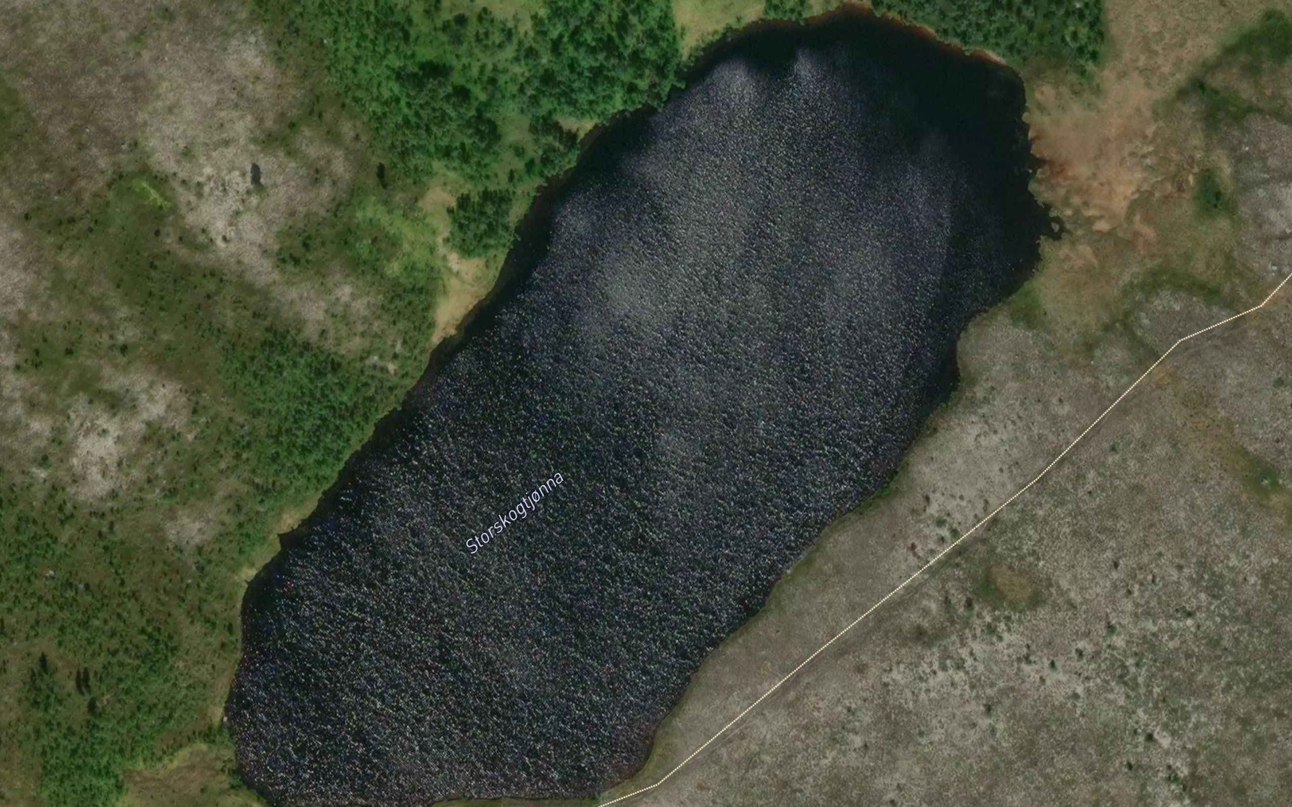 Storskogtjonna