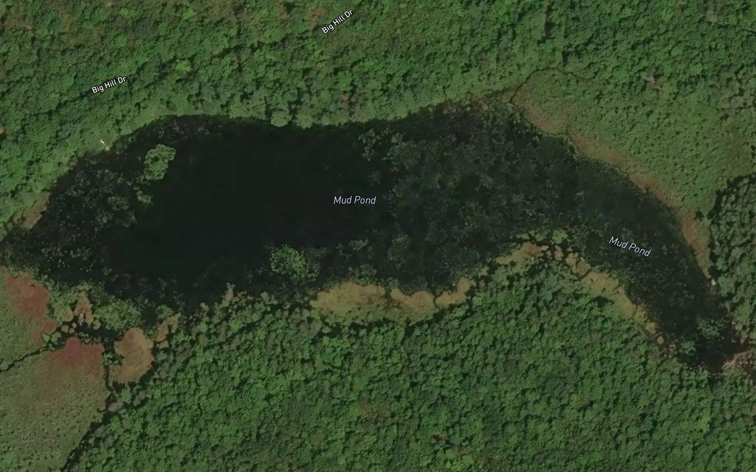 Mud Pond