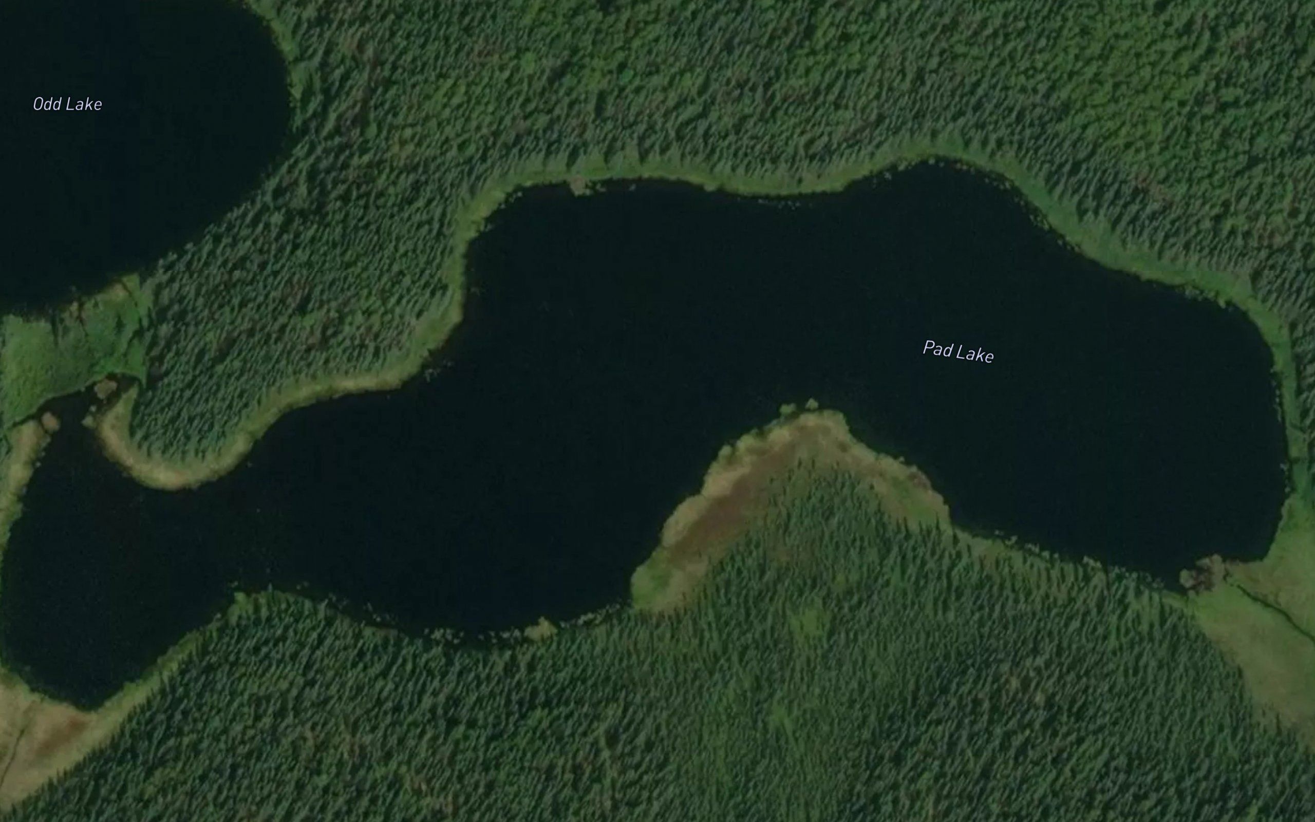 Pad Lake