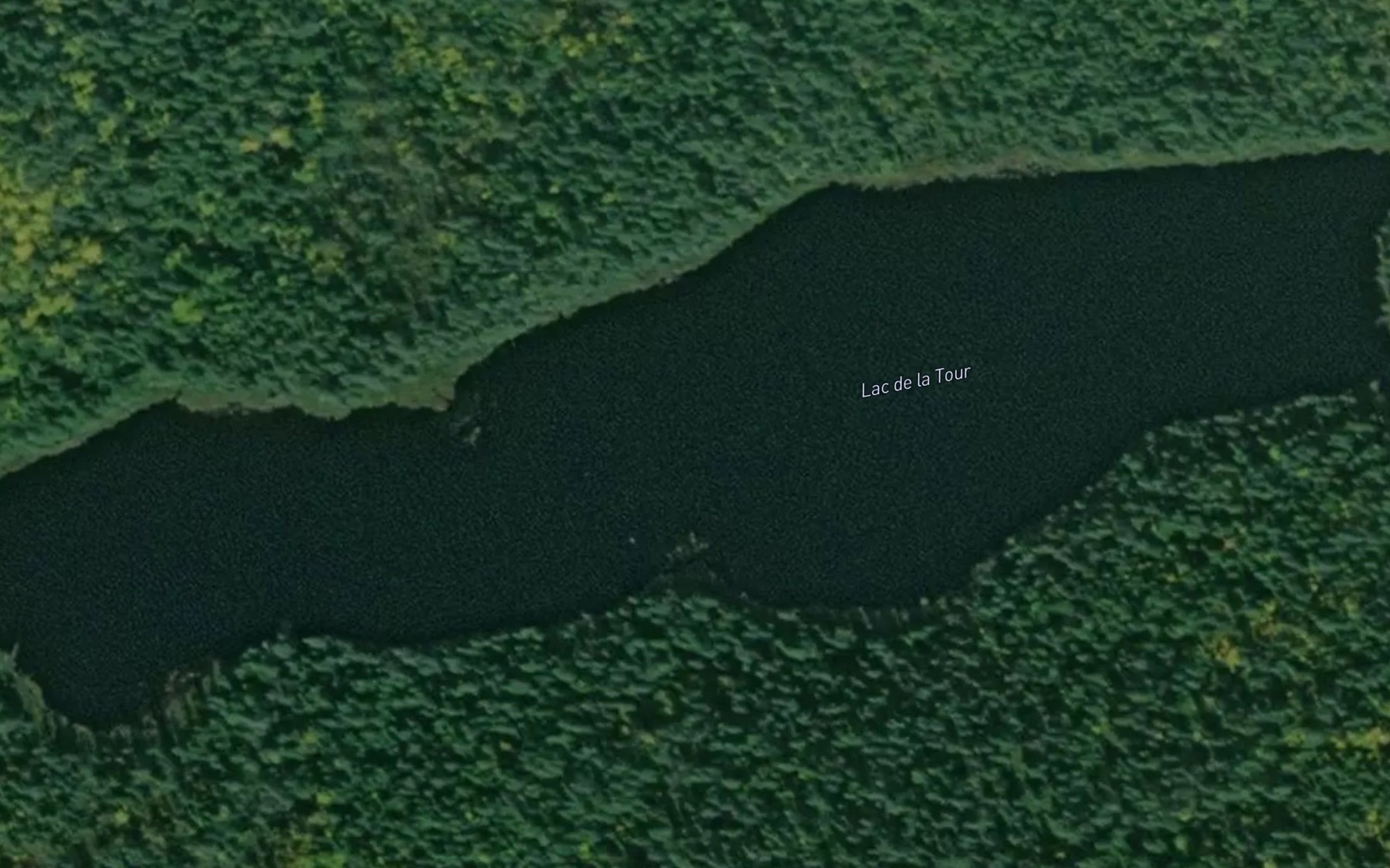 Satellite map of the Lac de la Tour