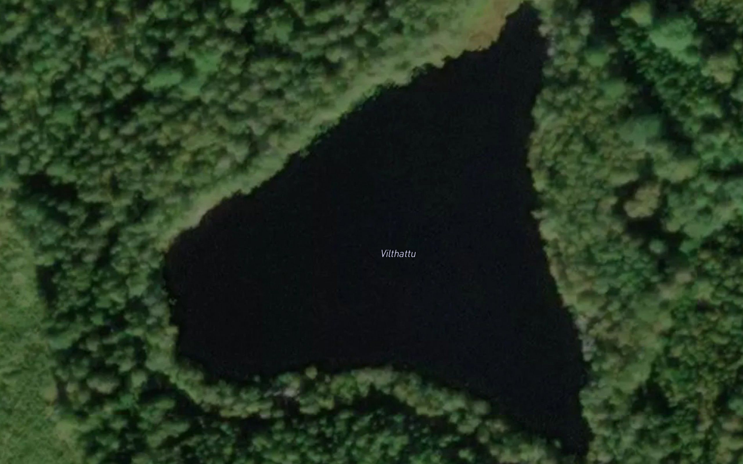 Vilthattu