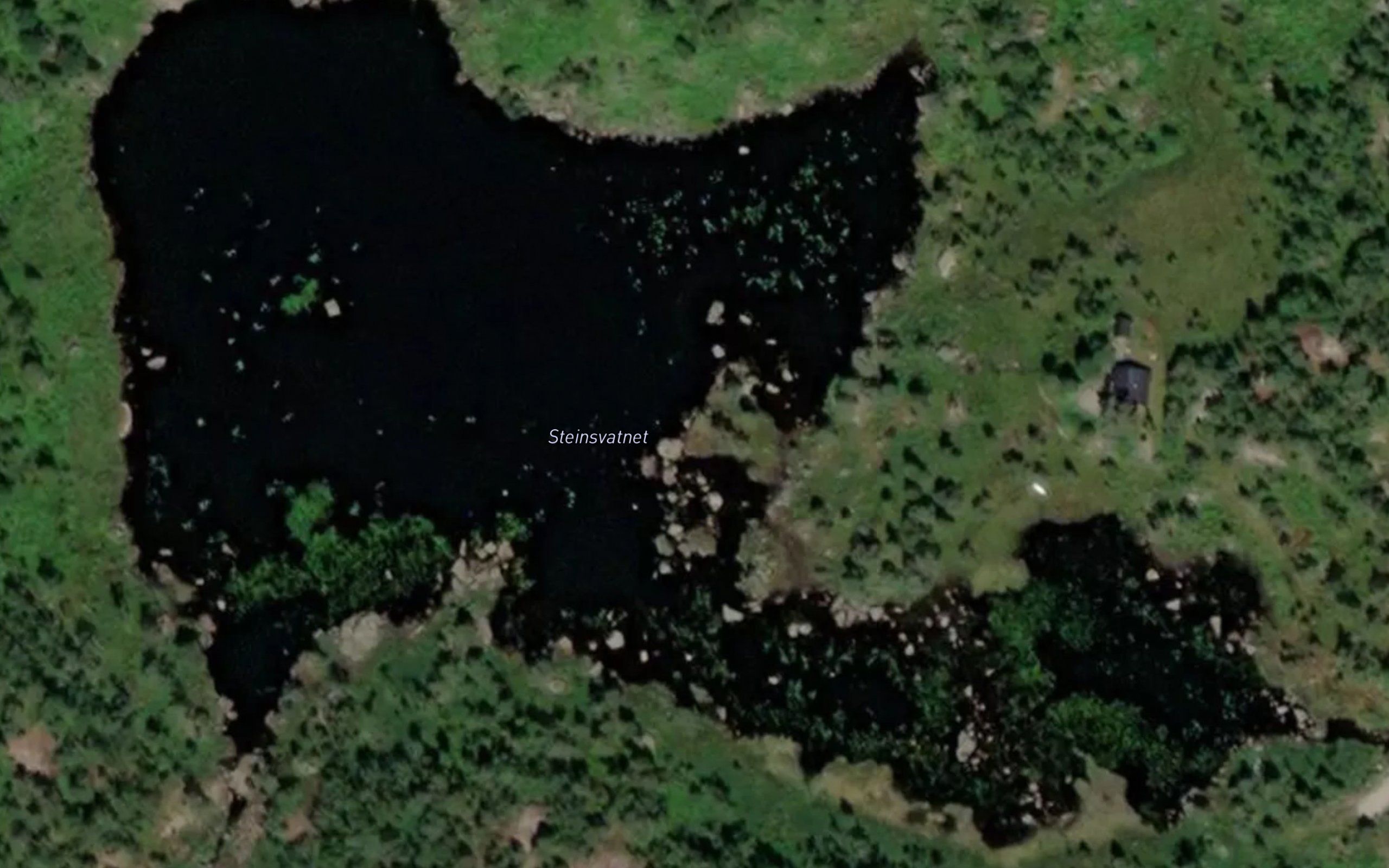 Steinsvann