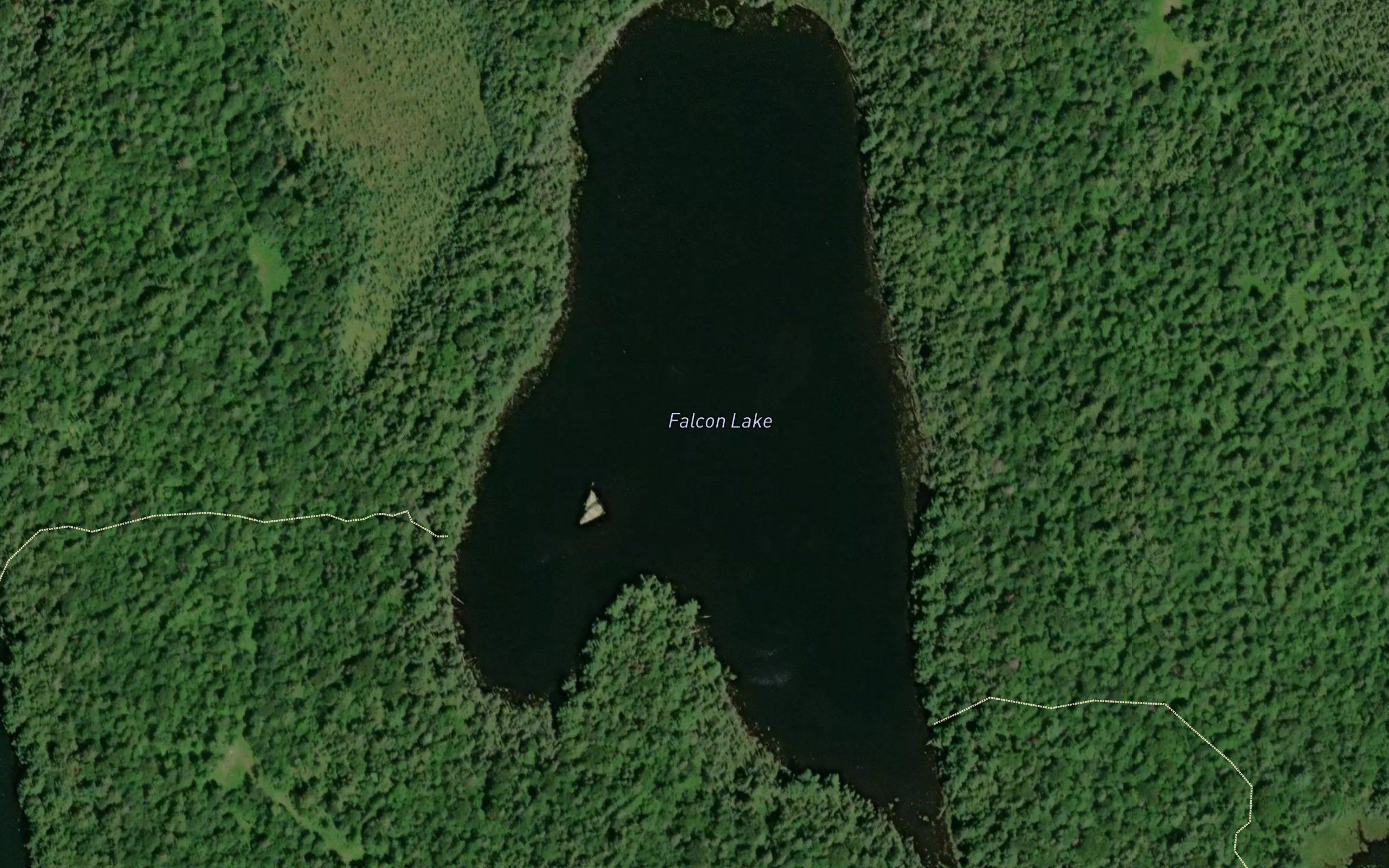 Falcon Lake