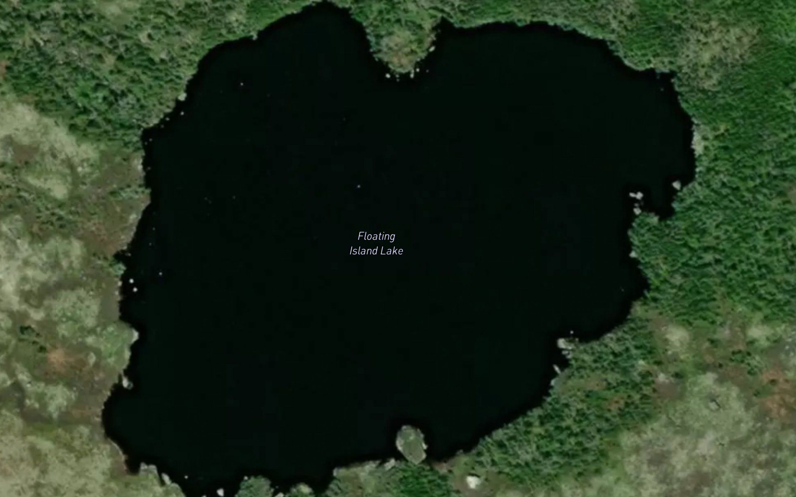 Floating Island Lake