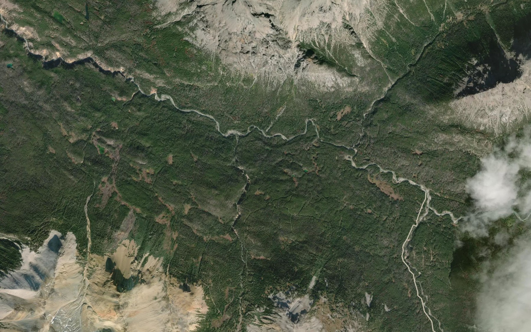 Satellite map of the Amazon Creek