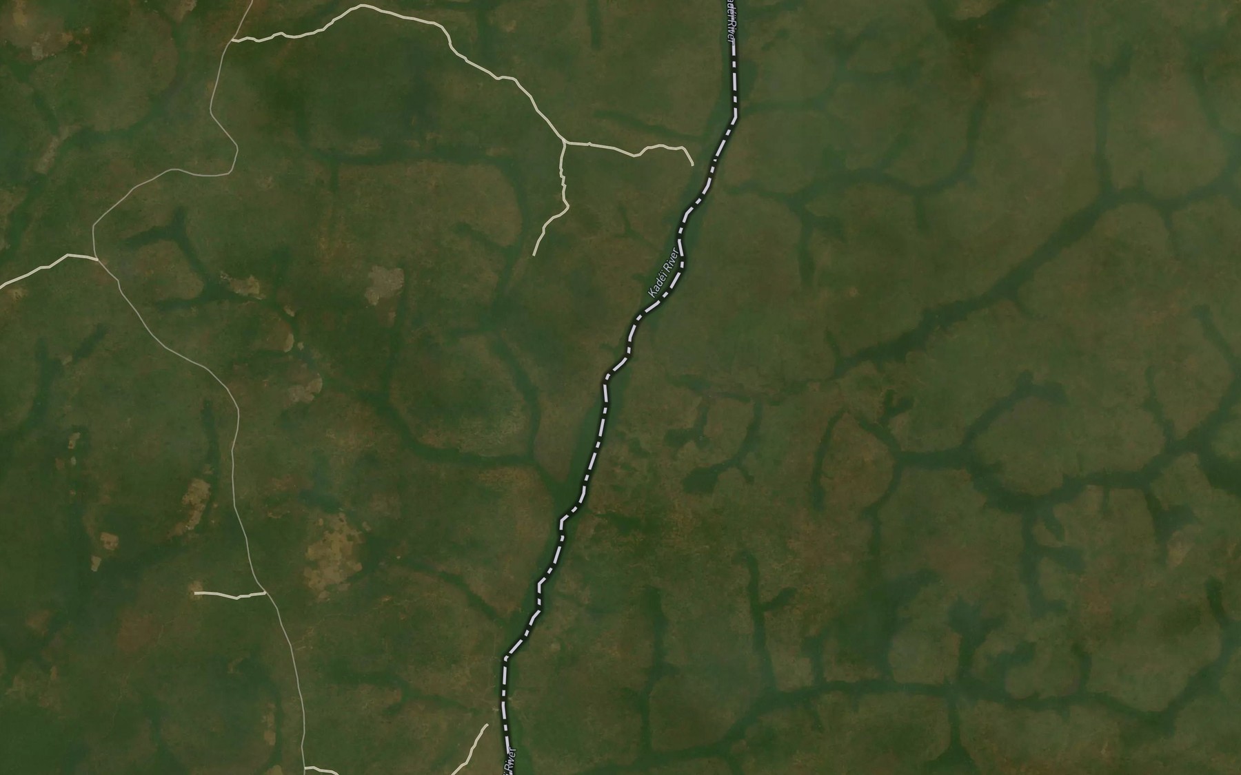 Satellite map of the Nzodong