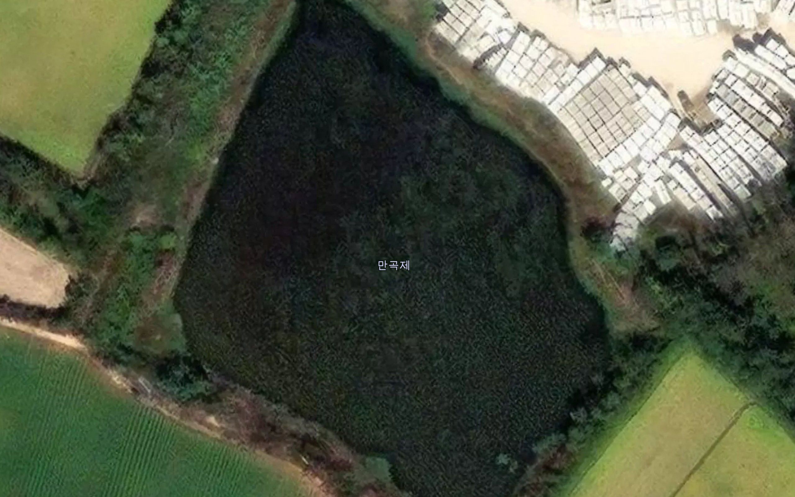 Mangokje