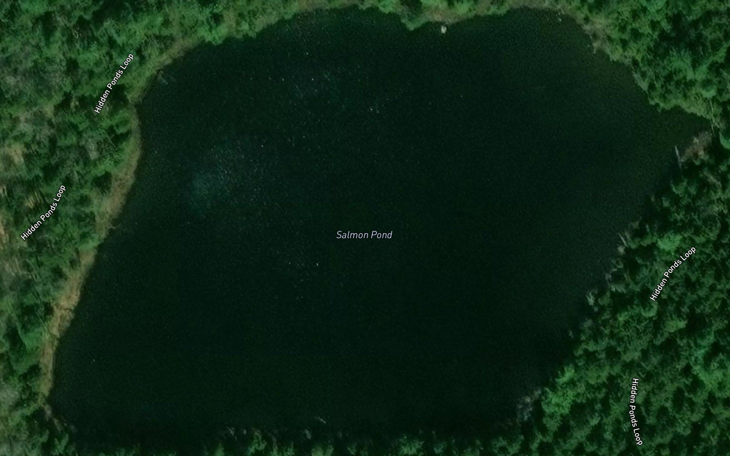 Salmon Pond