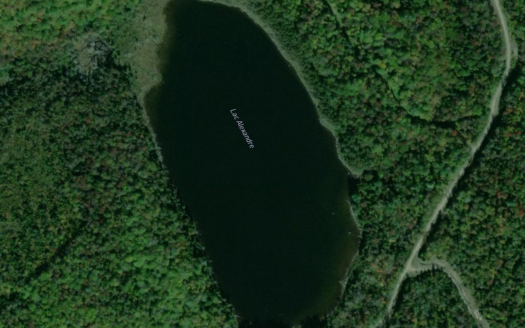 Satellite map of the Lac Alexandre