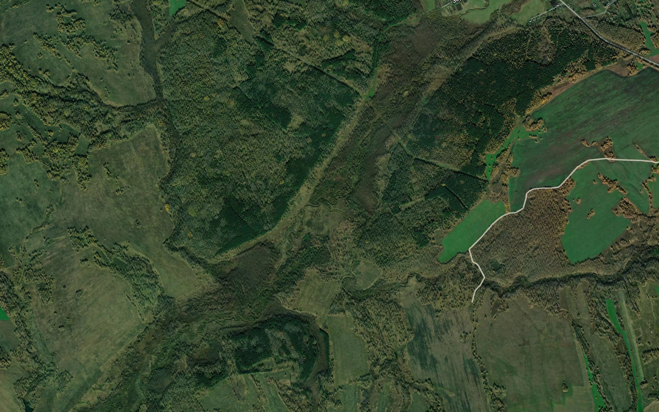 Klyuchevaya
