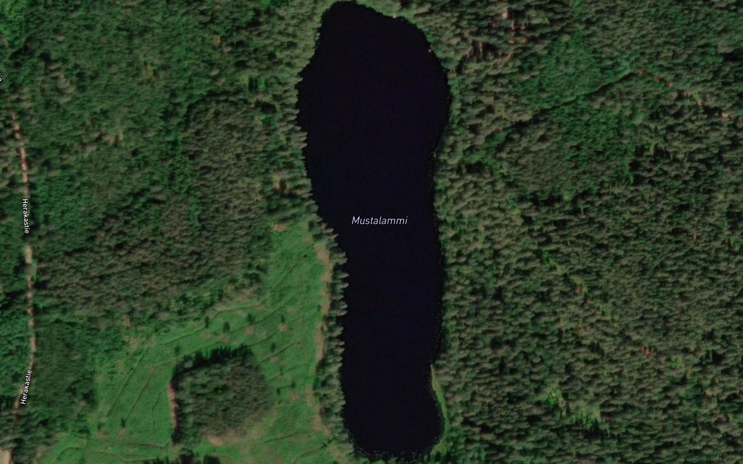 Mustalammi