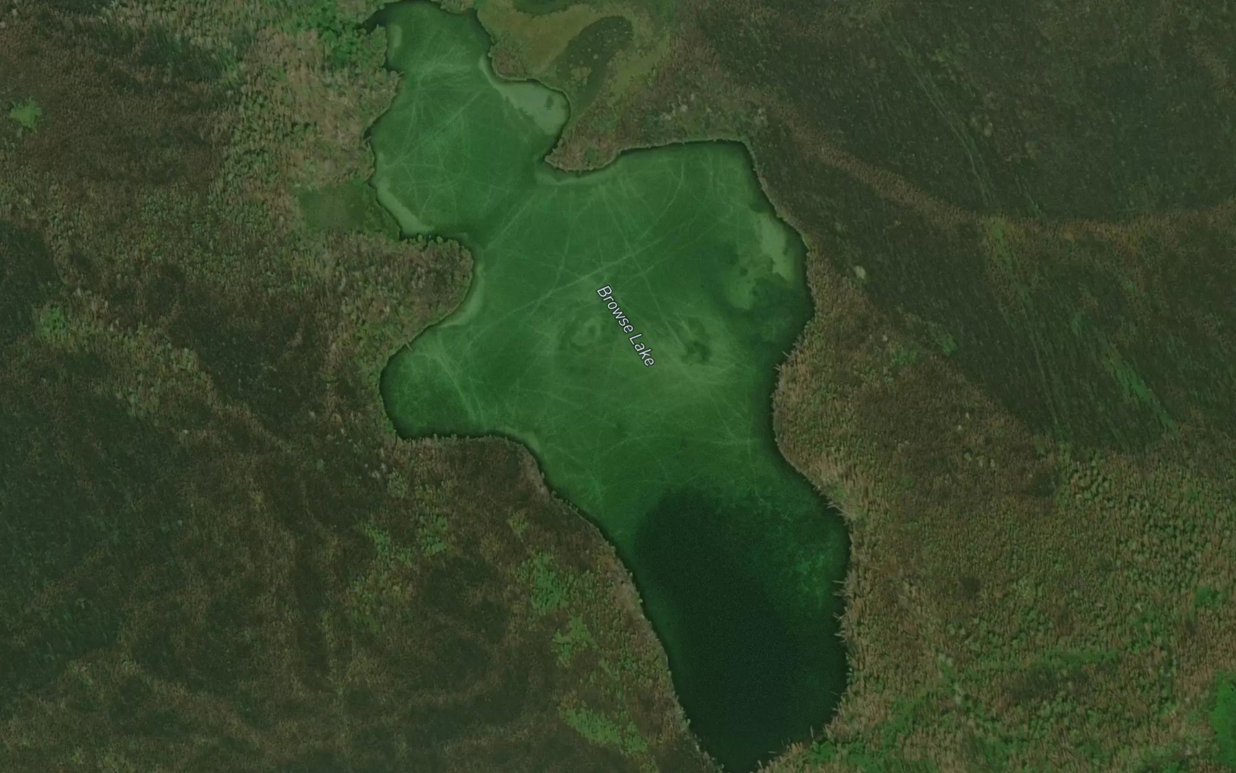 Satellite map of the Browse Lake